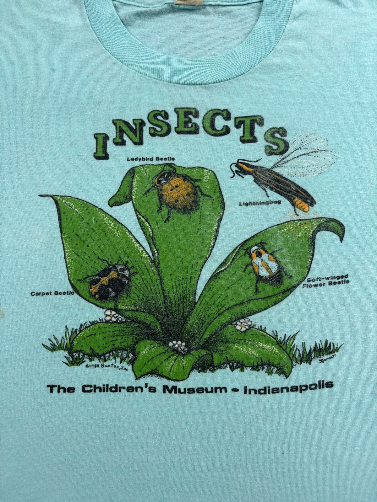Vintage Insects T-Shirt 5T