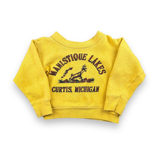 Vintage 60’s Michigan Crewneck 12 Months