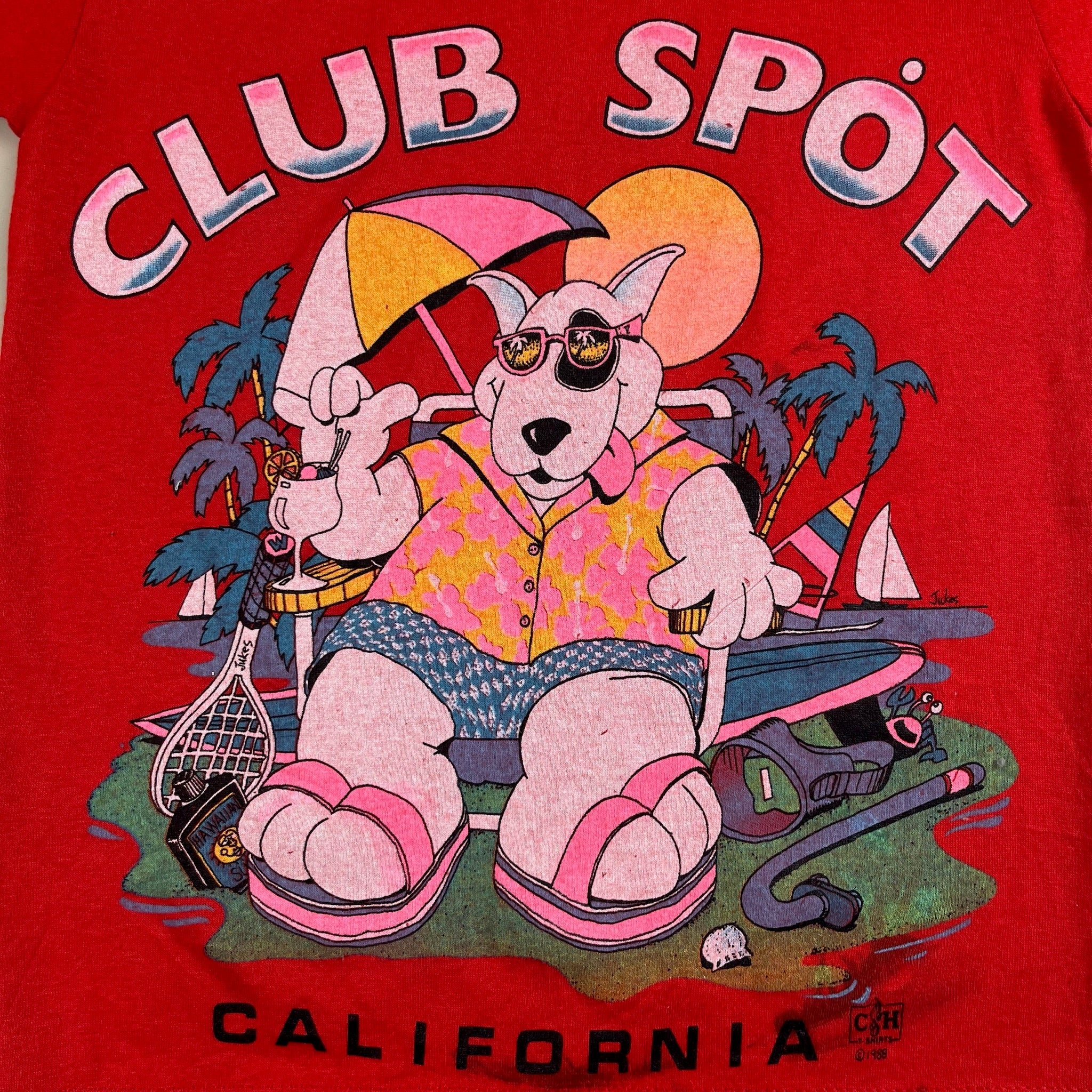 Vintage California Souvenir T-Shirt 5T