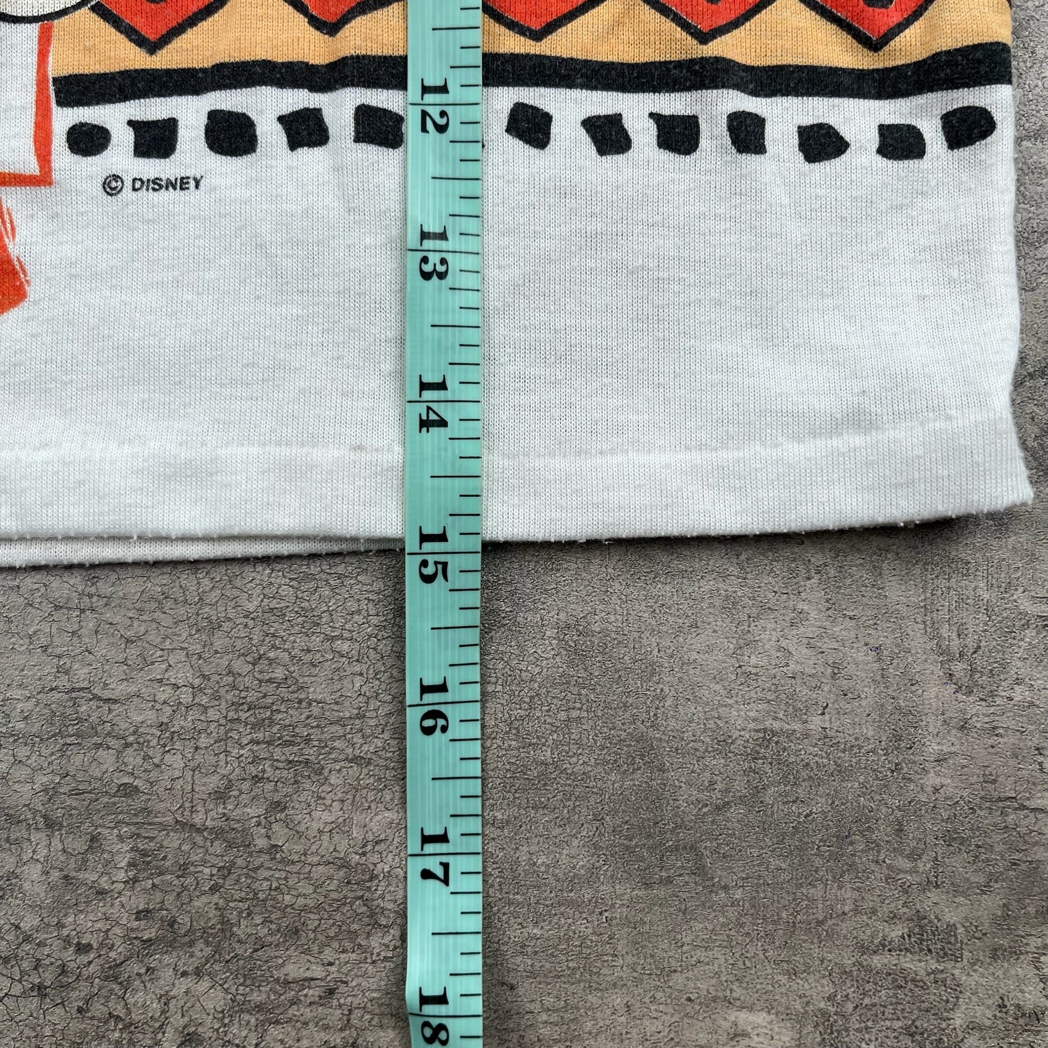 Vintage Lion King Timon & Pumba 3T
