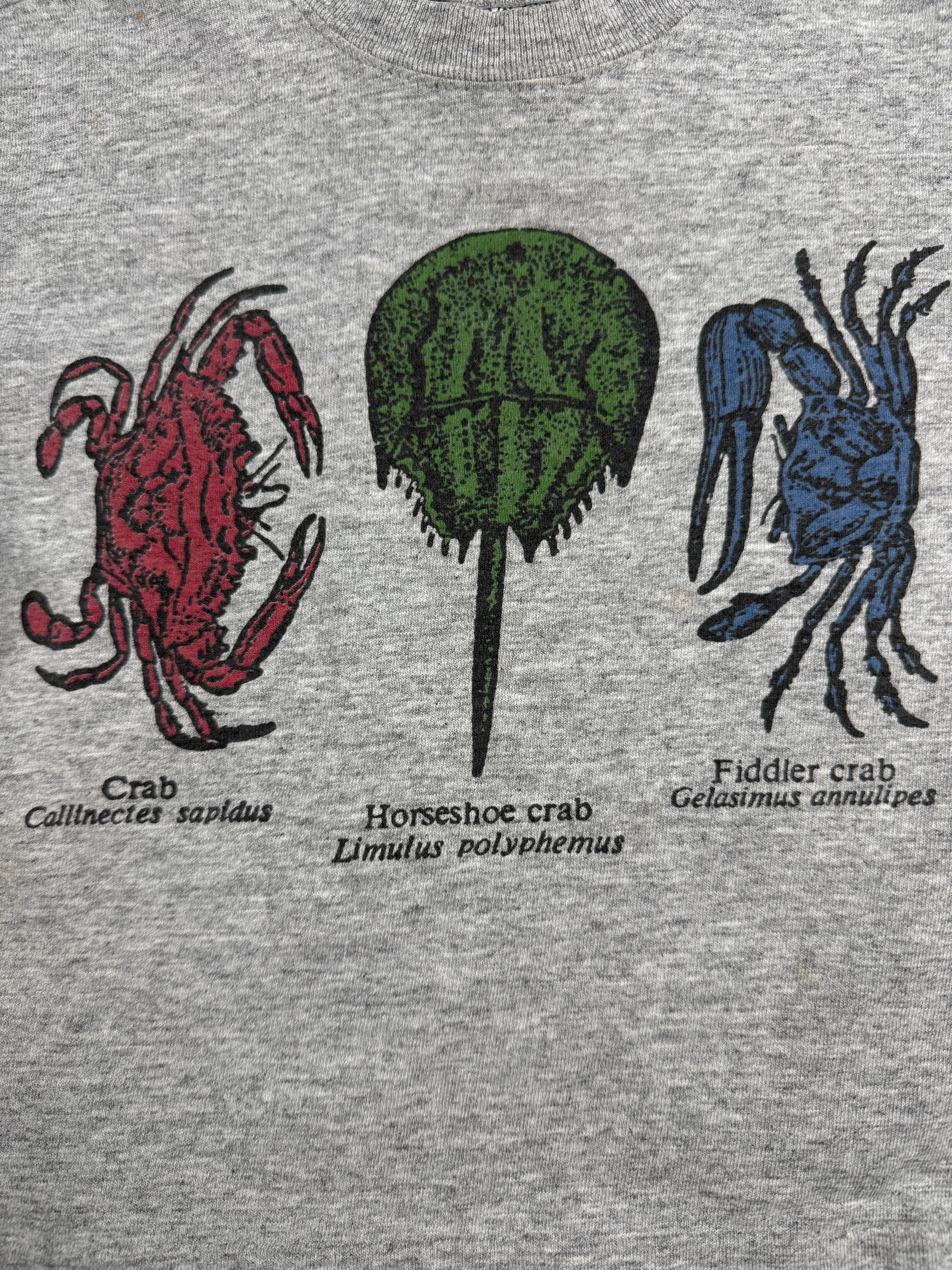 Vintage Crab T-Shirt 3T