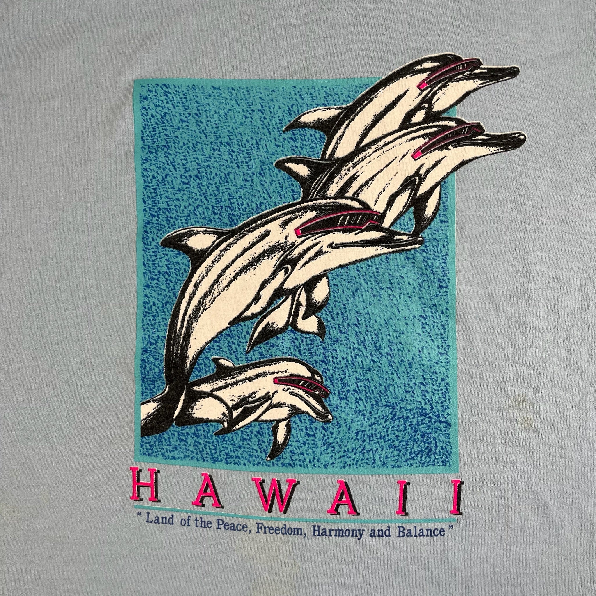 Vintage Hawaii Dolphins Location T-Shirt Youth Large
