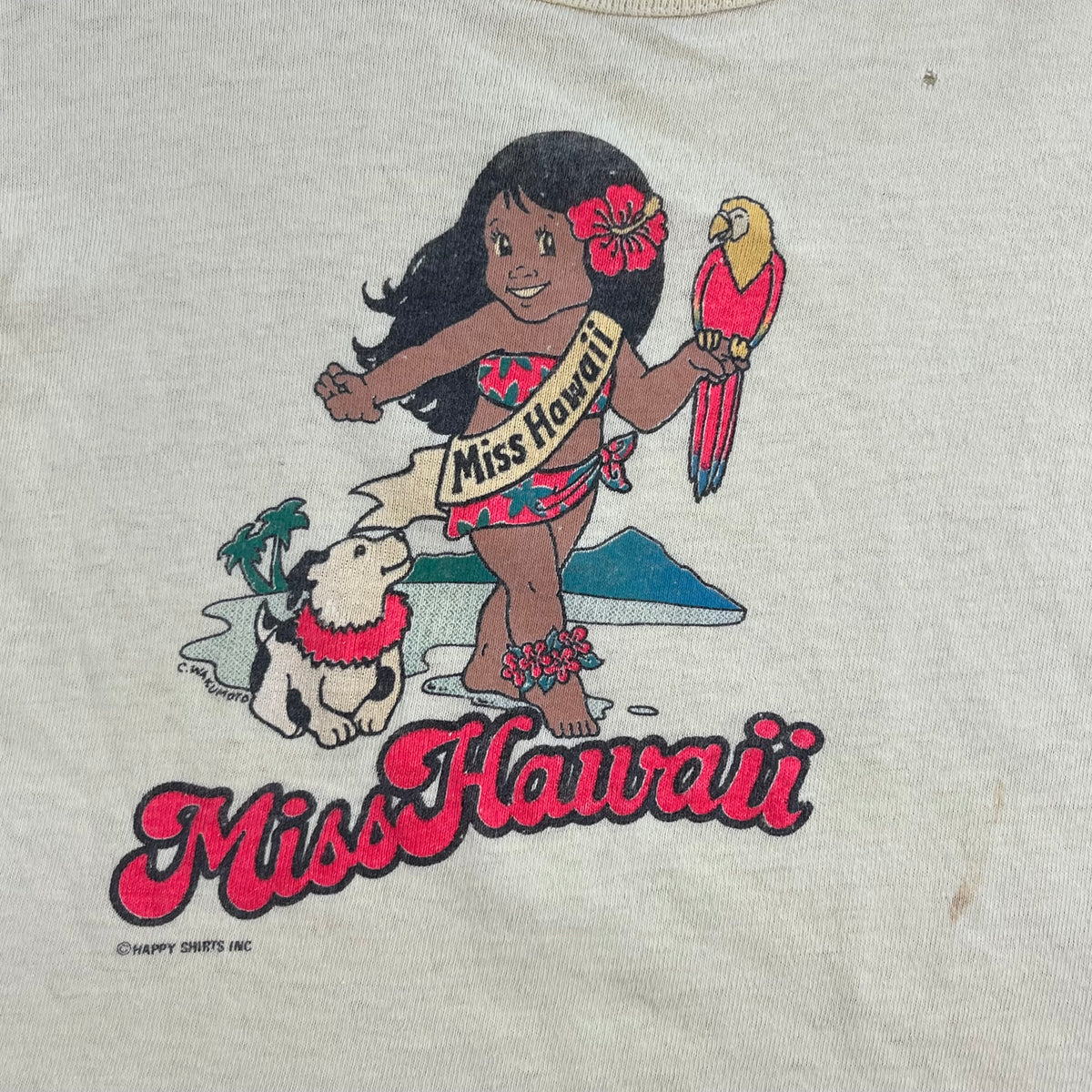 Vintage Hawaii Souvenir 3T