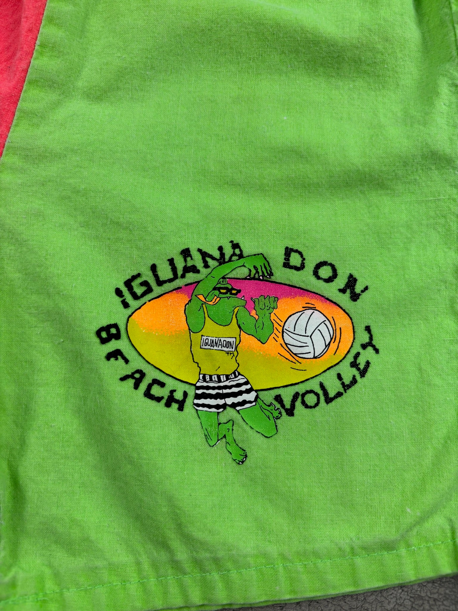 Vintage Iguana Don Surf Set 5T