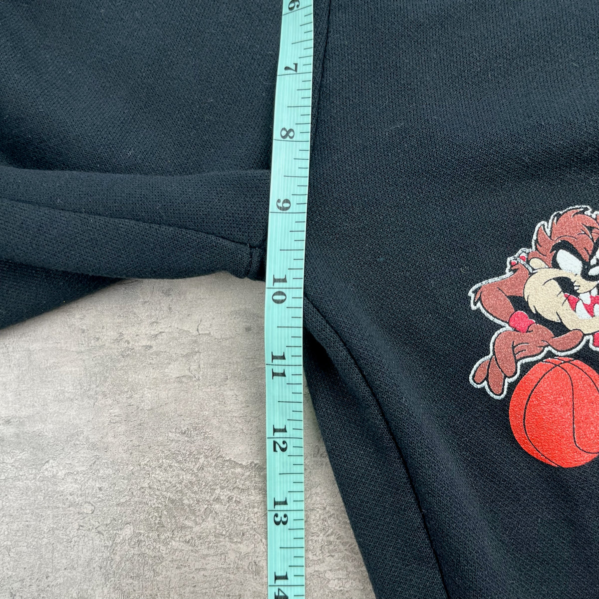 Vintage Chicago Bulls Taz Sweats 5T