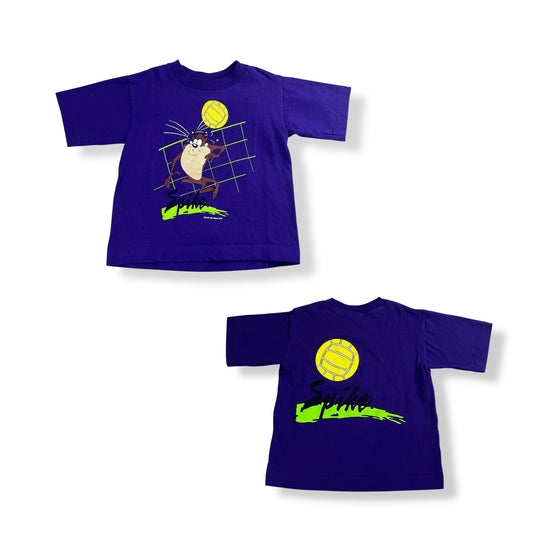 Vintage Taz Volleyball 4T