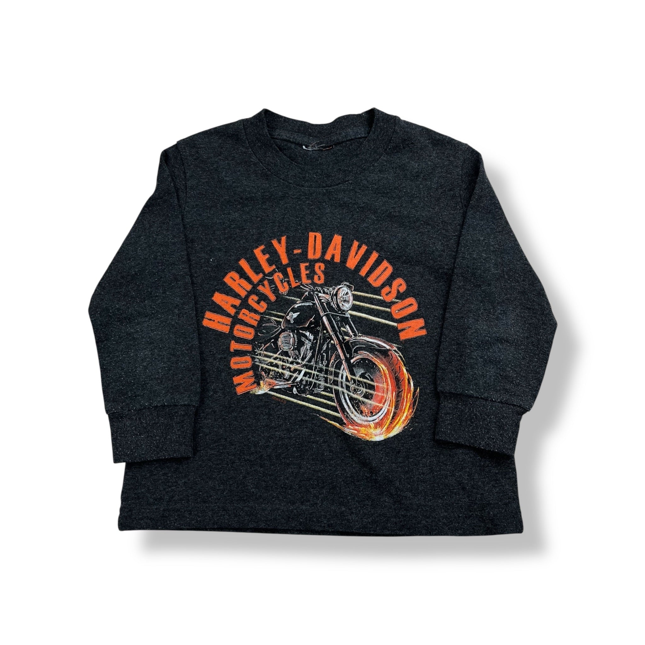 Y2K Harley Davidson Longsleeve 3T