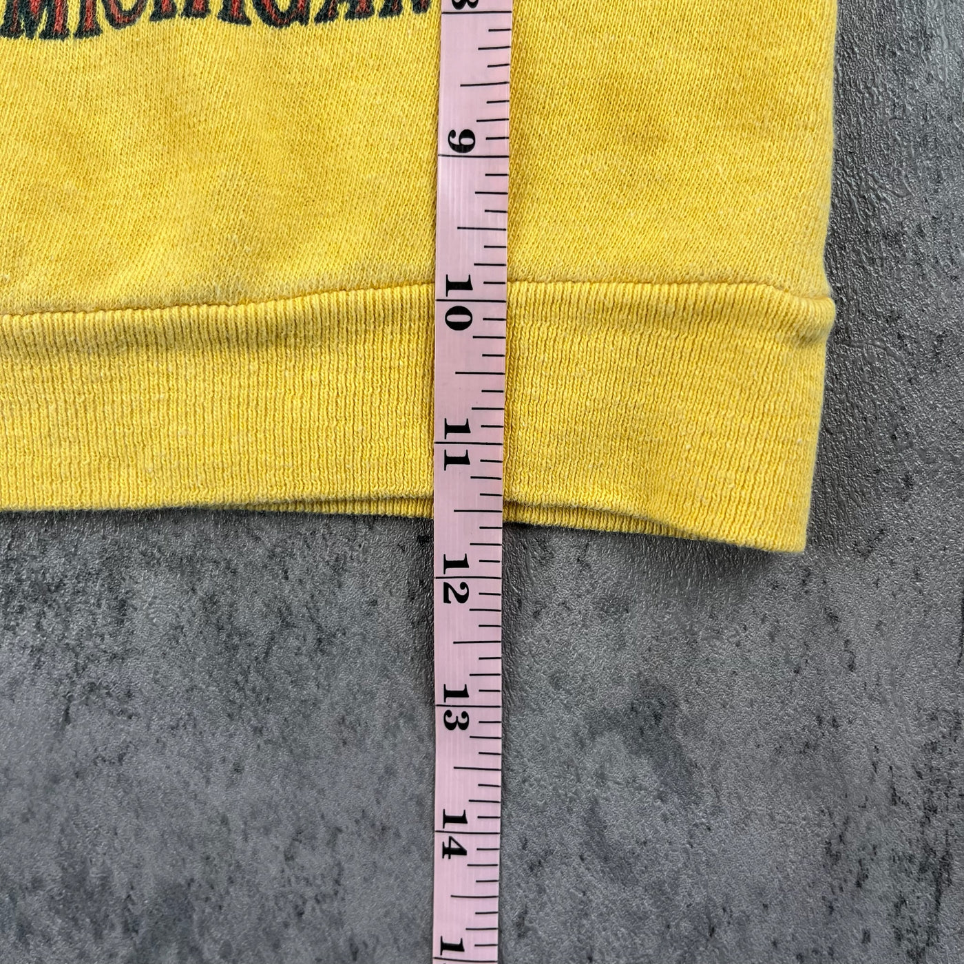 Vintage 60’s Michigan Crewneck 12 Months