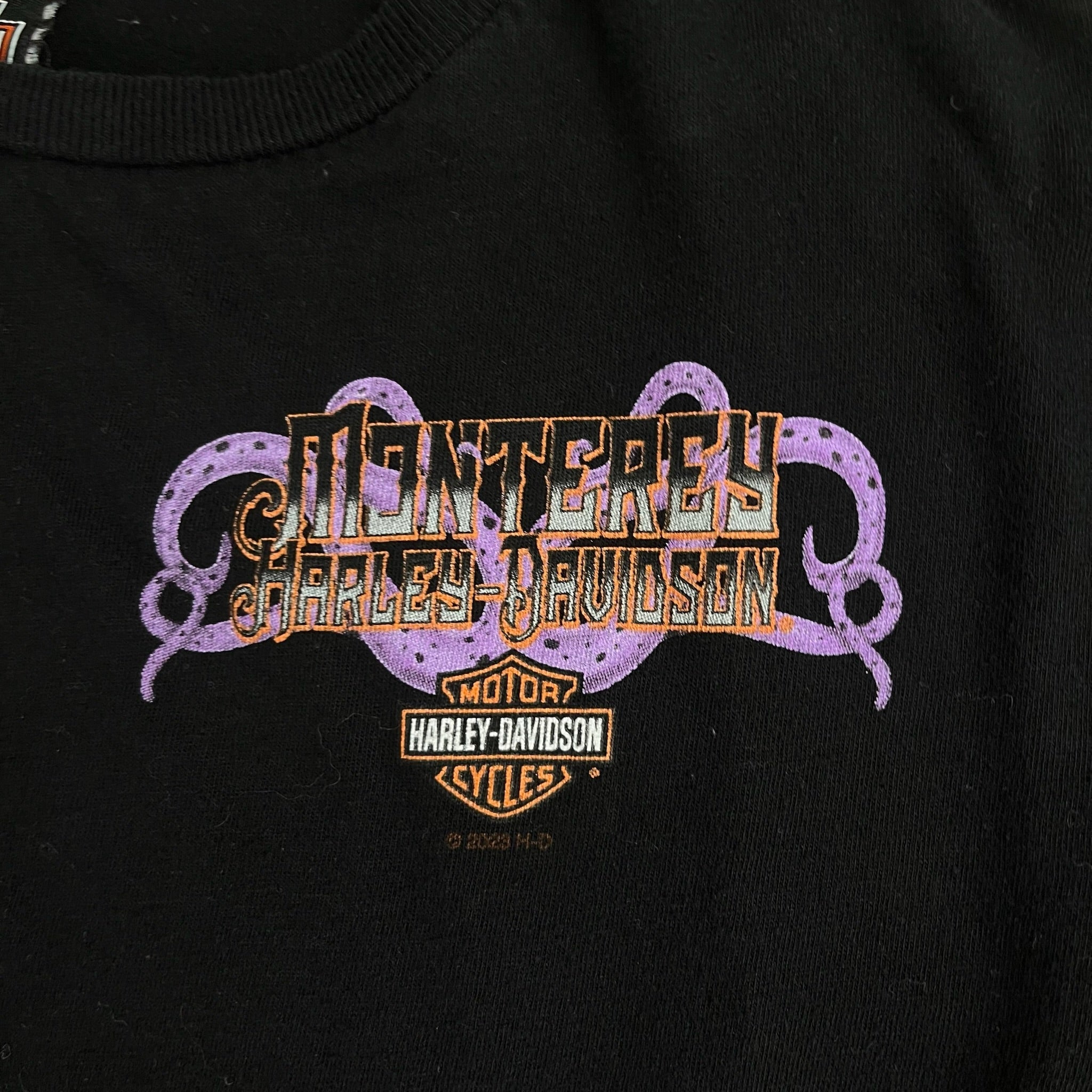Harley Davidson Longsleeve 6x