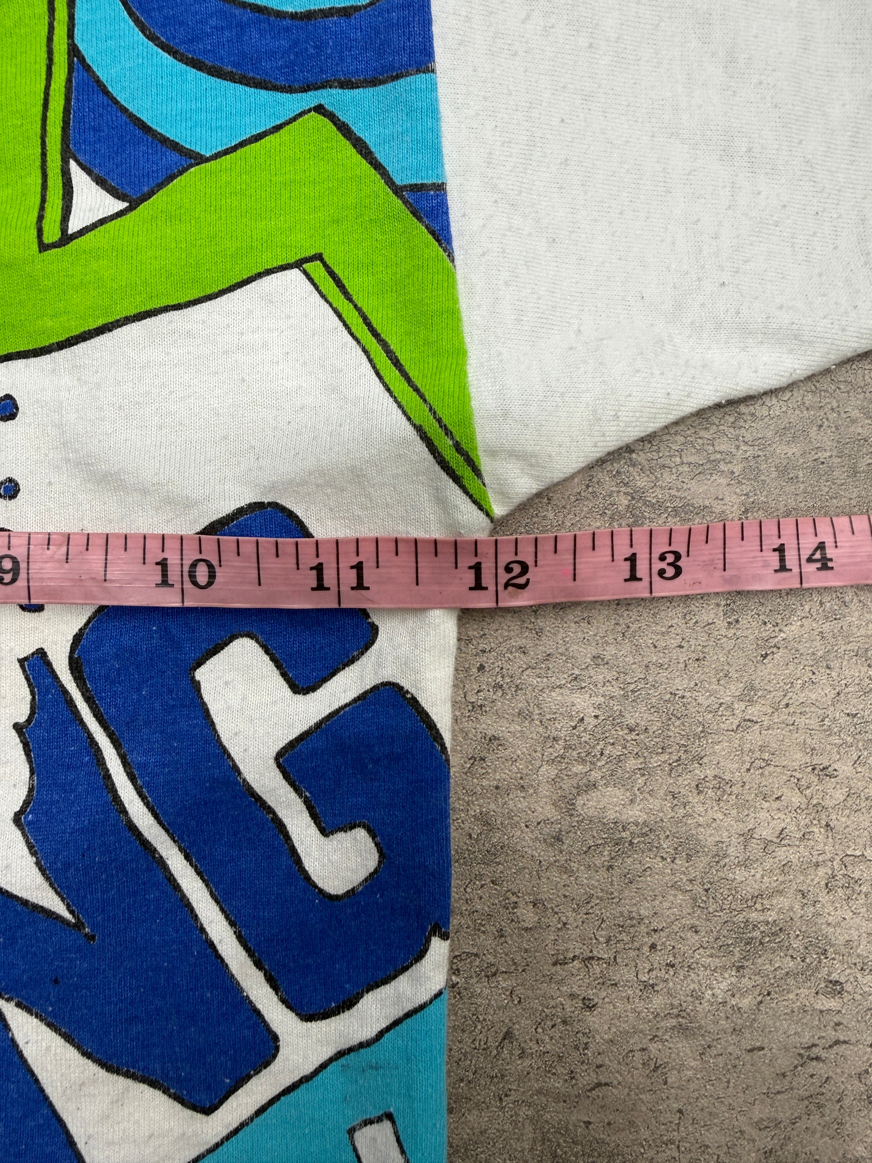 Vintage Hang Ten Dino Set  2T