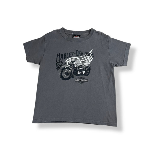 Harley Davidson T-Shirt Adult Small
