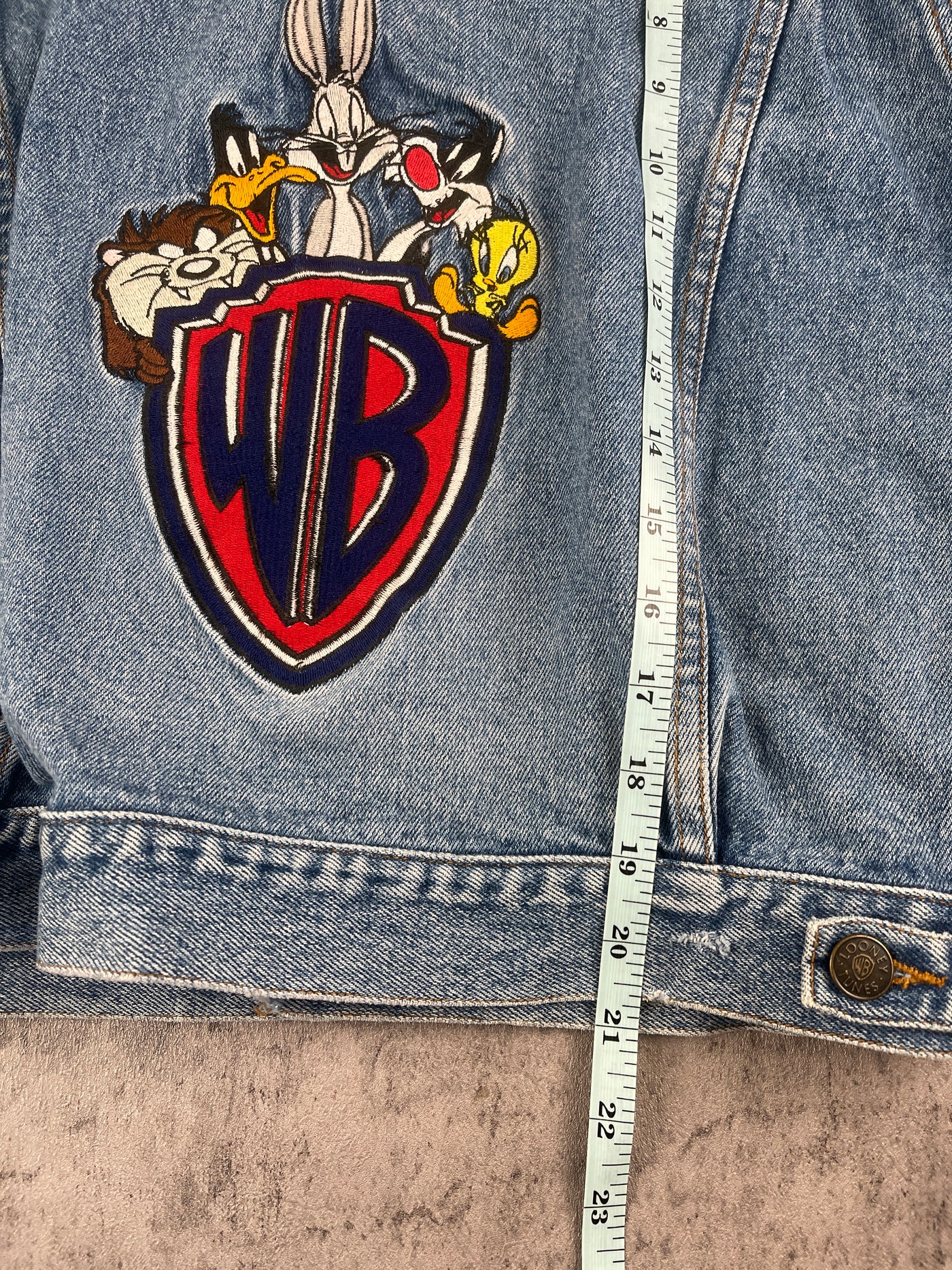 Vintage ‘95 Warner Bros Looney Tunes Jacket Youth XL