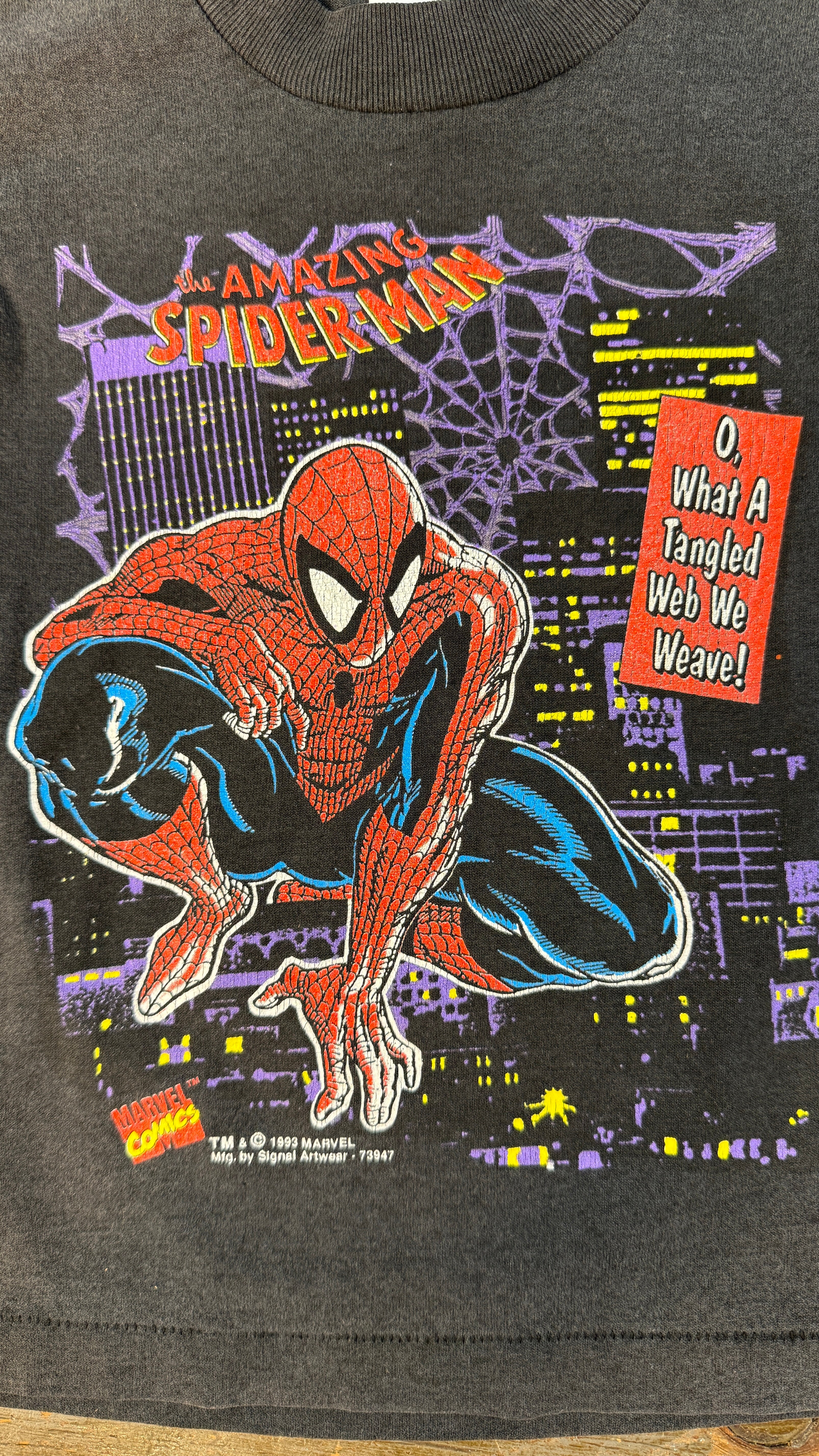 Vintage '93 Amazing Spider-Man 2/3T