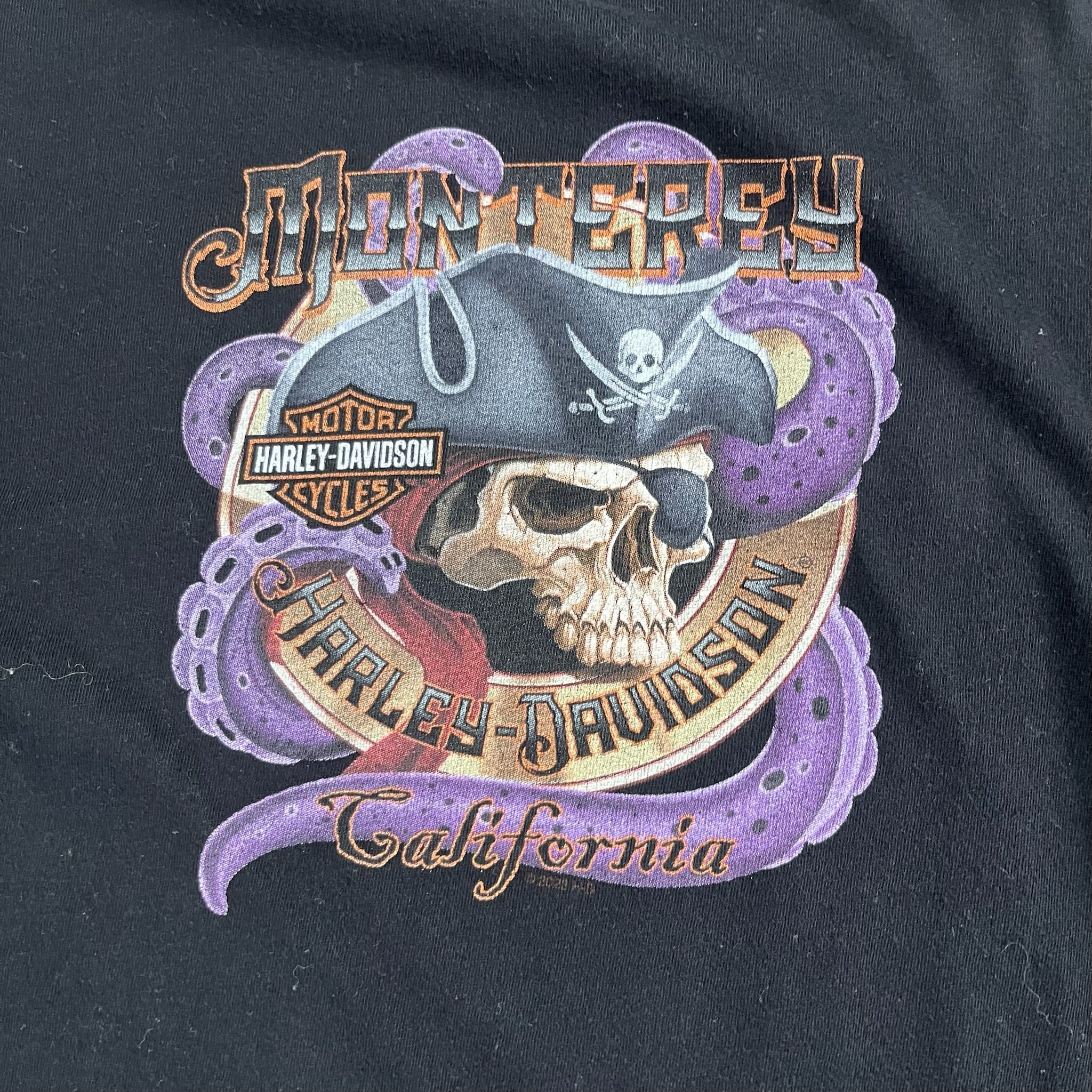 Harley Davidson Longsleeve 6x