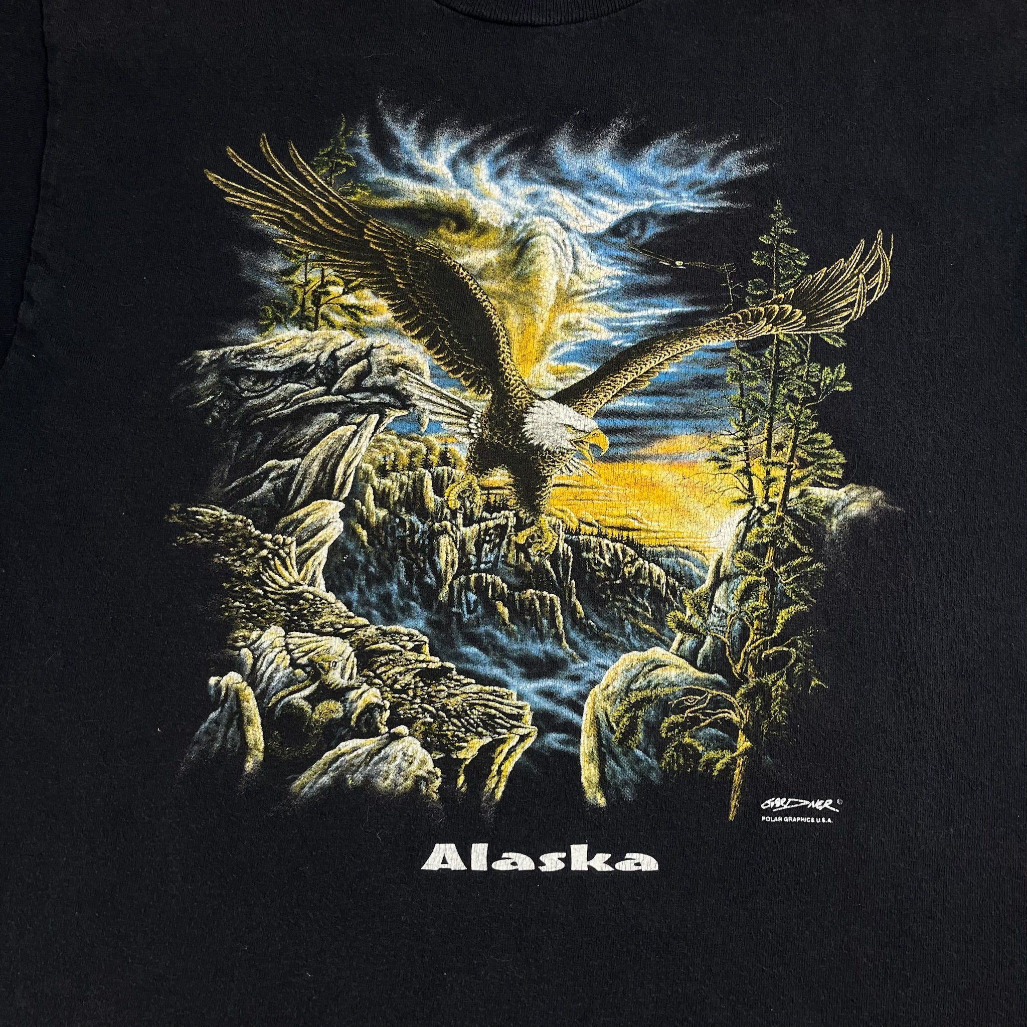 Vintage Alaska T-Shirt Youth Medium