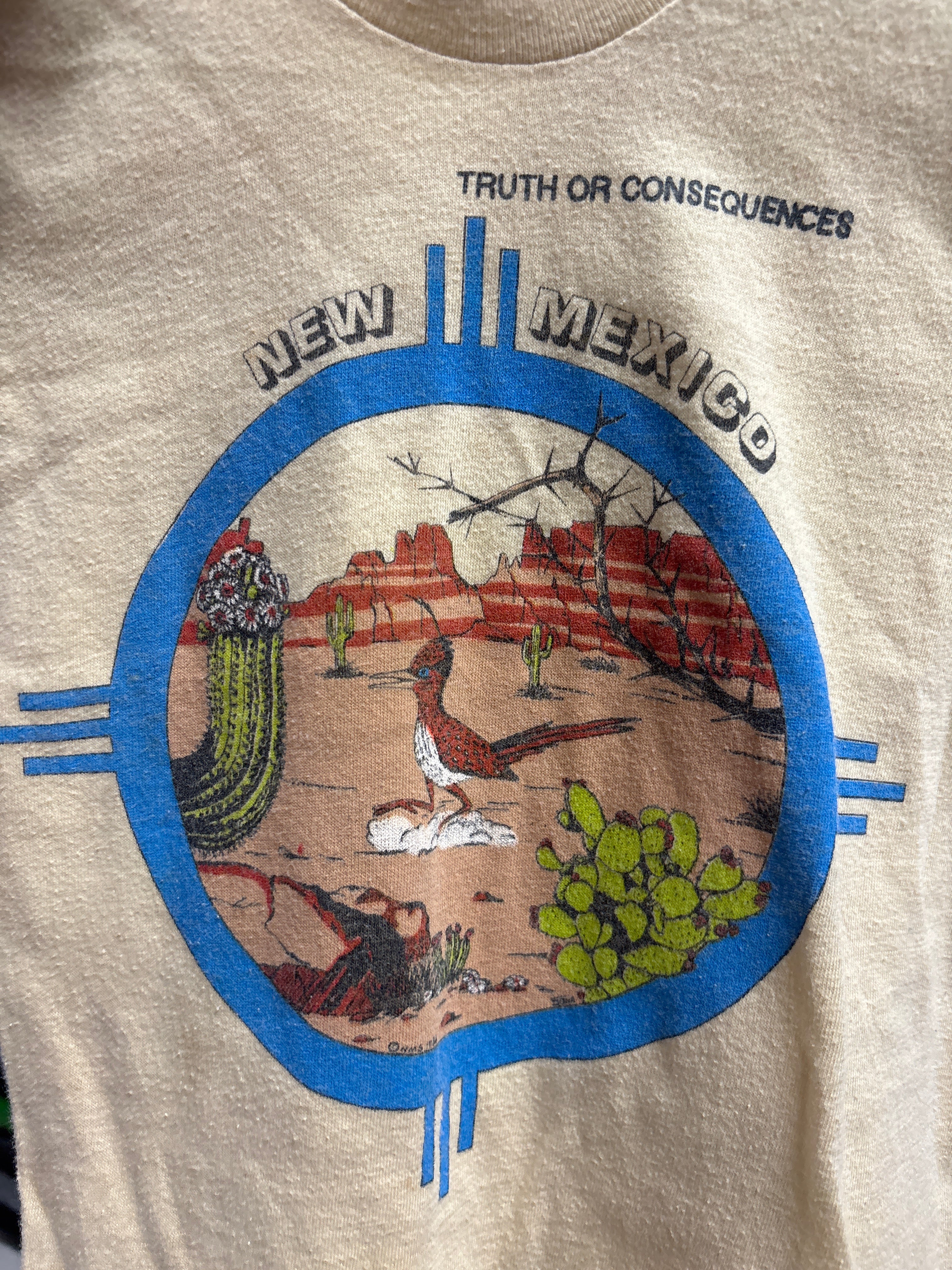 Vintage New Mexico Souvenir Tee 3T