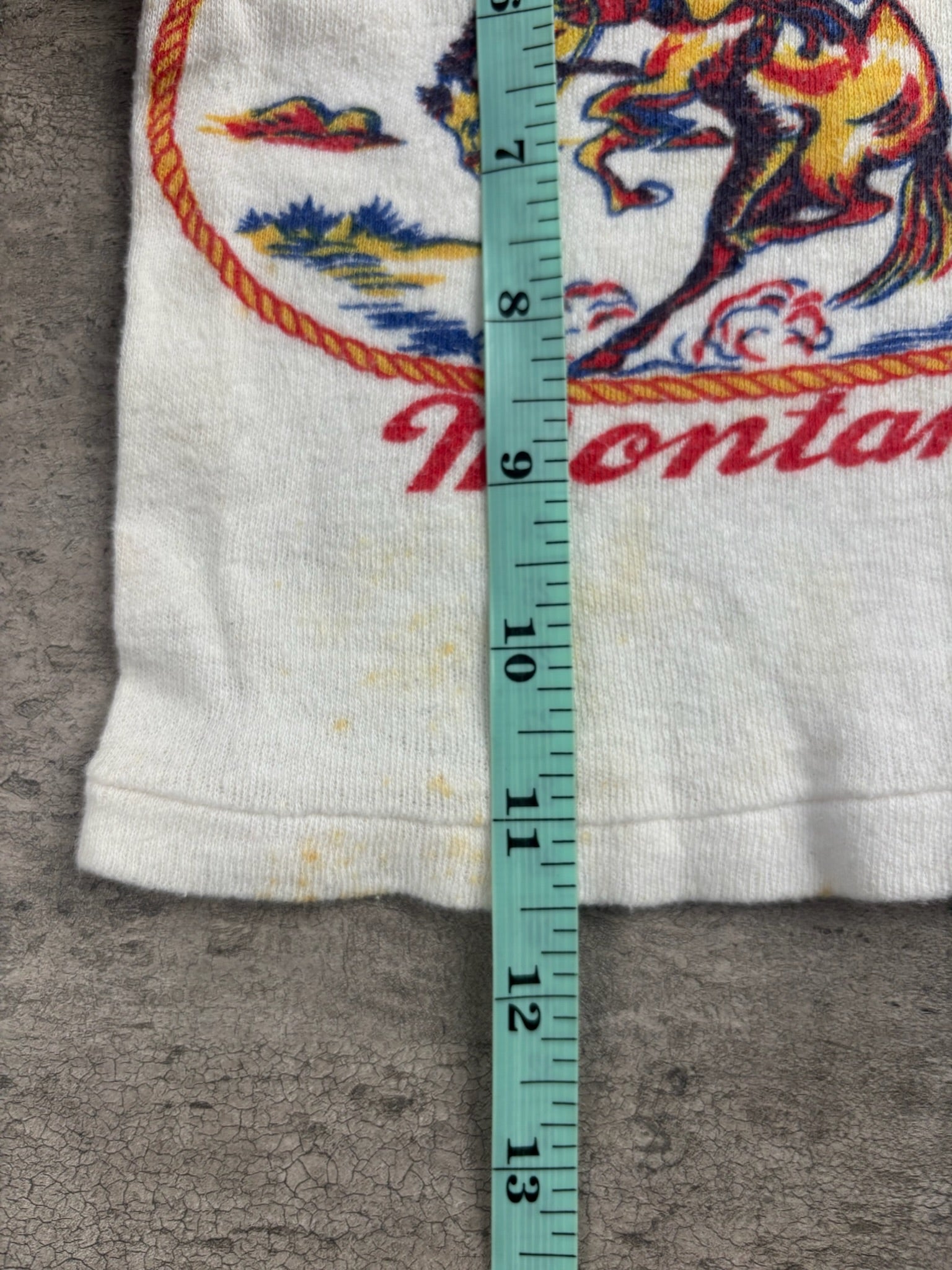 Vintage Montana Souvenir Ringer 9 Months