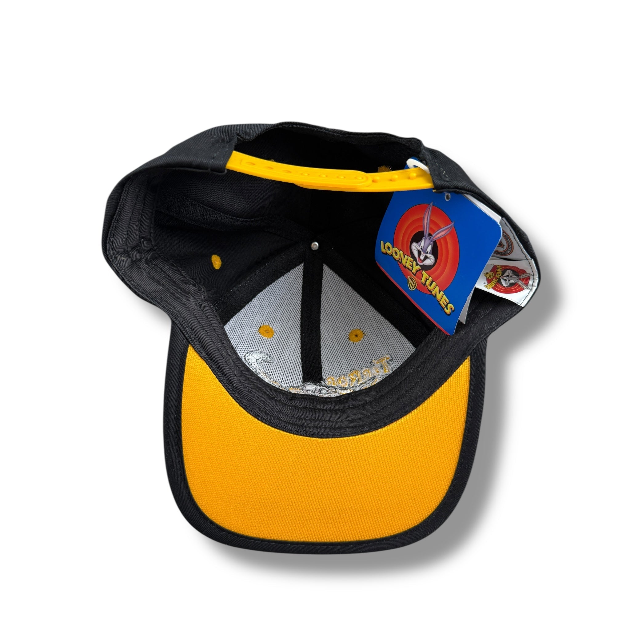 Vintage Deadstock Taz Penguins Snapback Toddler/Youth