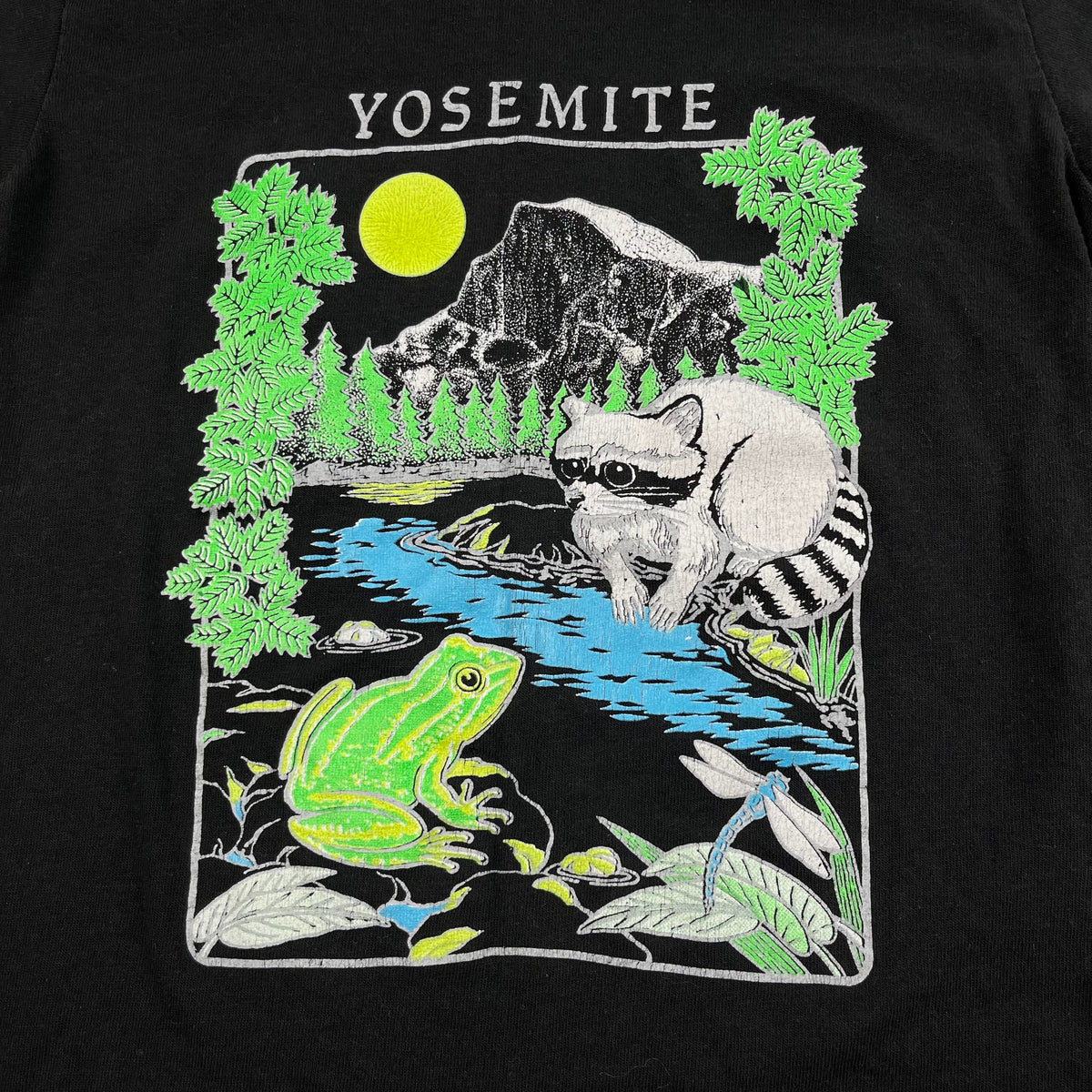 Vintage Yosemite 5T
