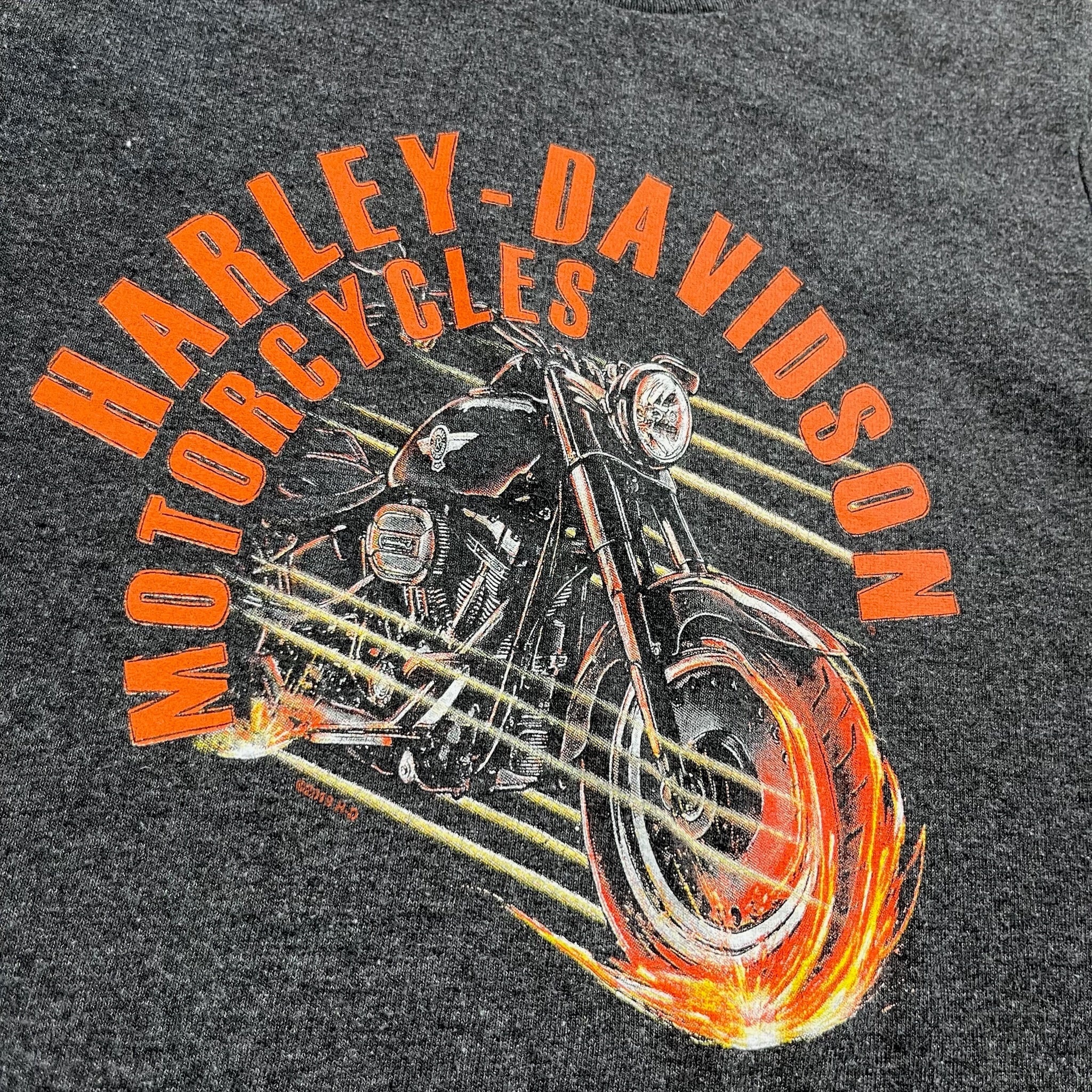 Y2K Harley Davidson Longsleeve 3T