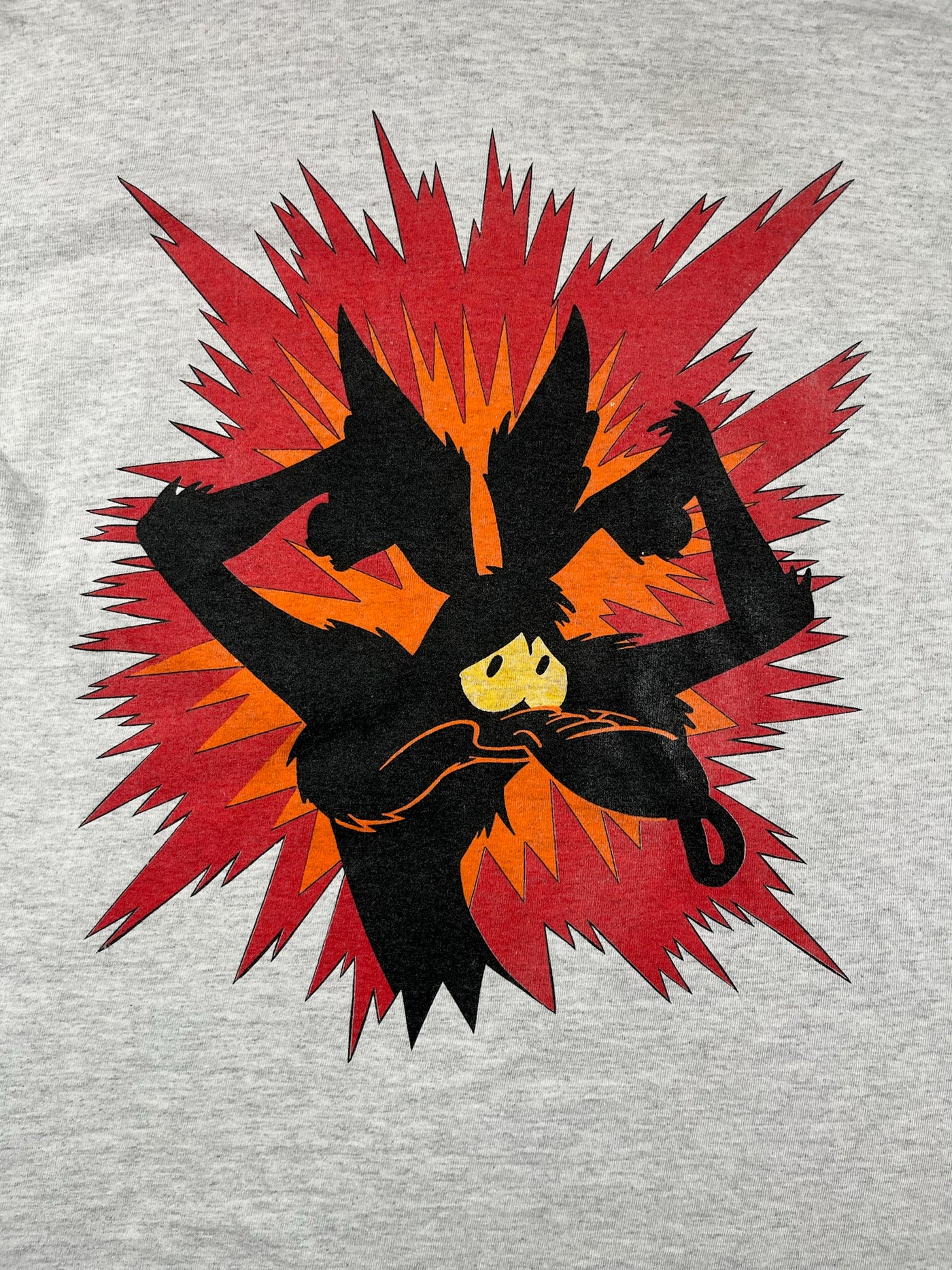 Vintage ‘92 Looney Tunes Wile E. Coyote Youth XL