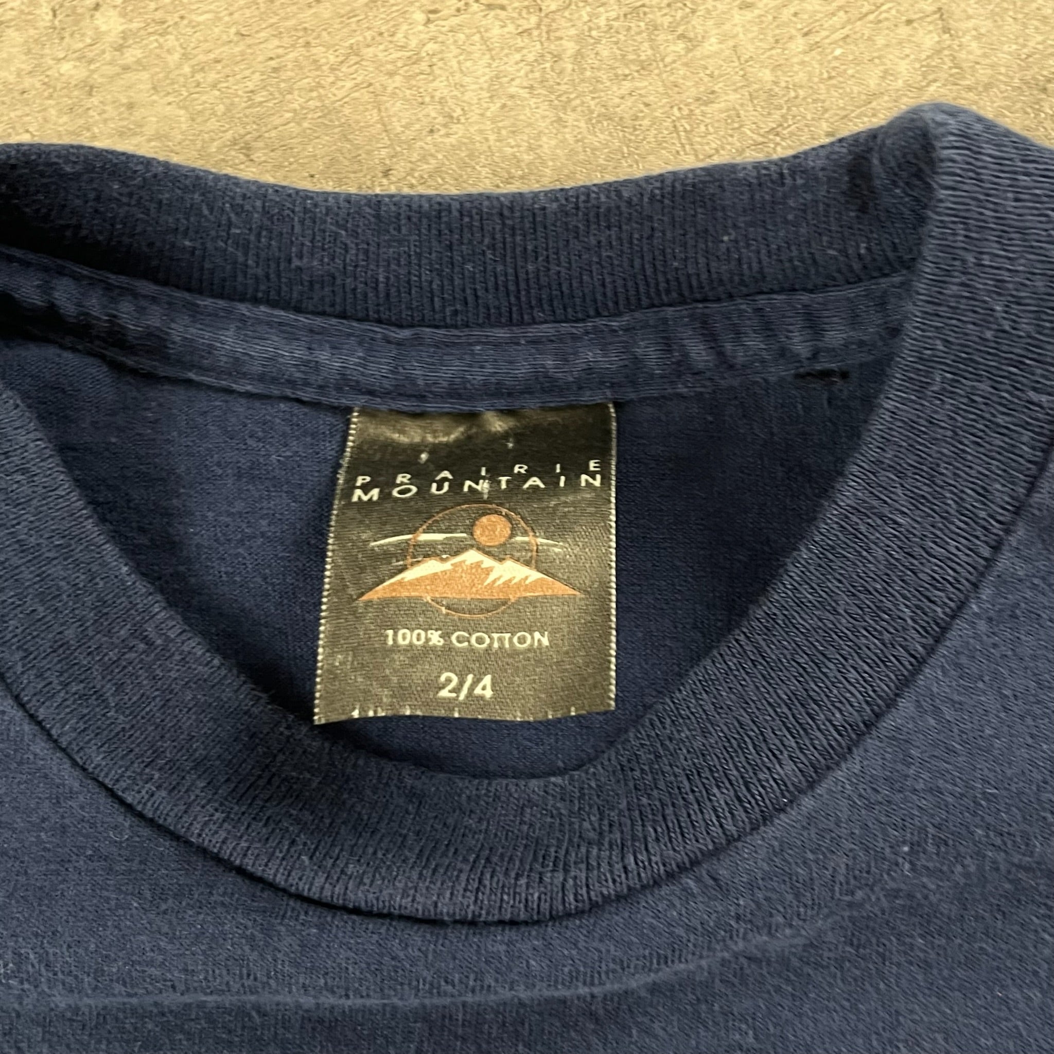Vintage Yellowstone Souvenir Shirt 2T
