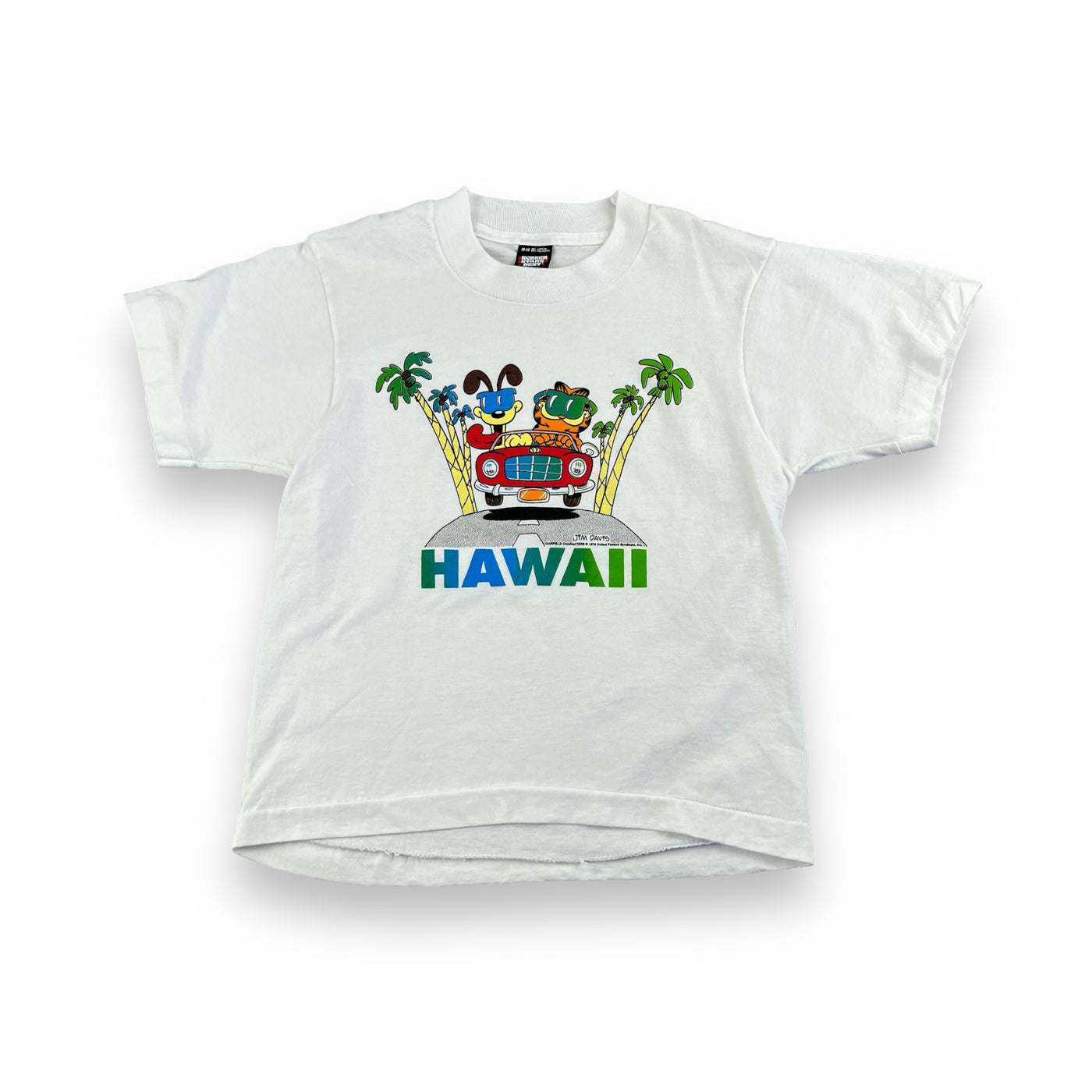 Vintage Garfield Hawaii Souvenir 5/6