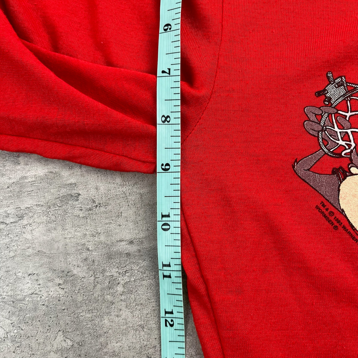 Vintage Taz Chicago Bulls Set 4T