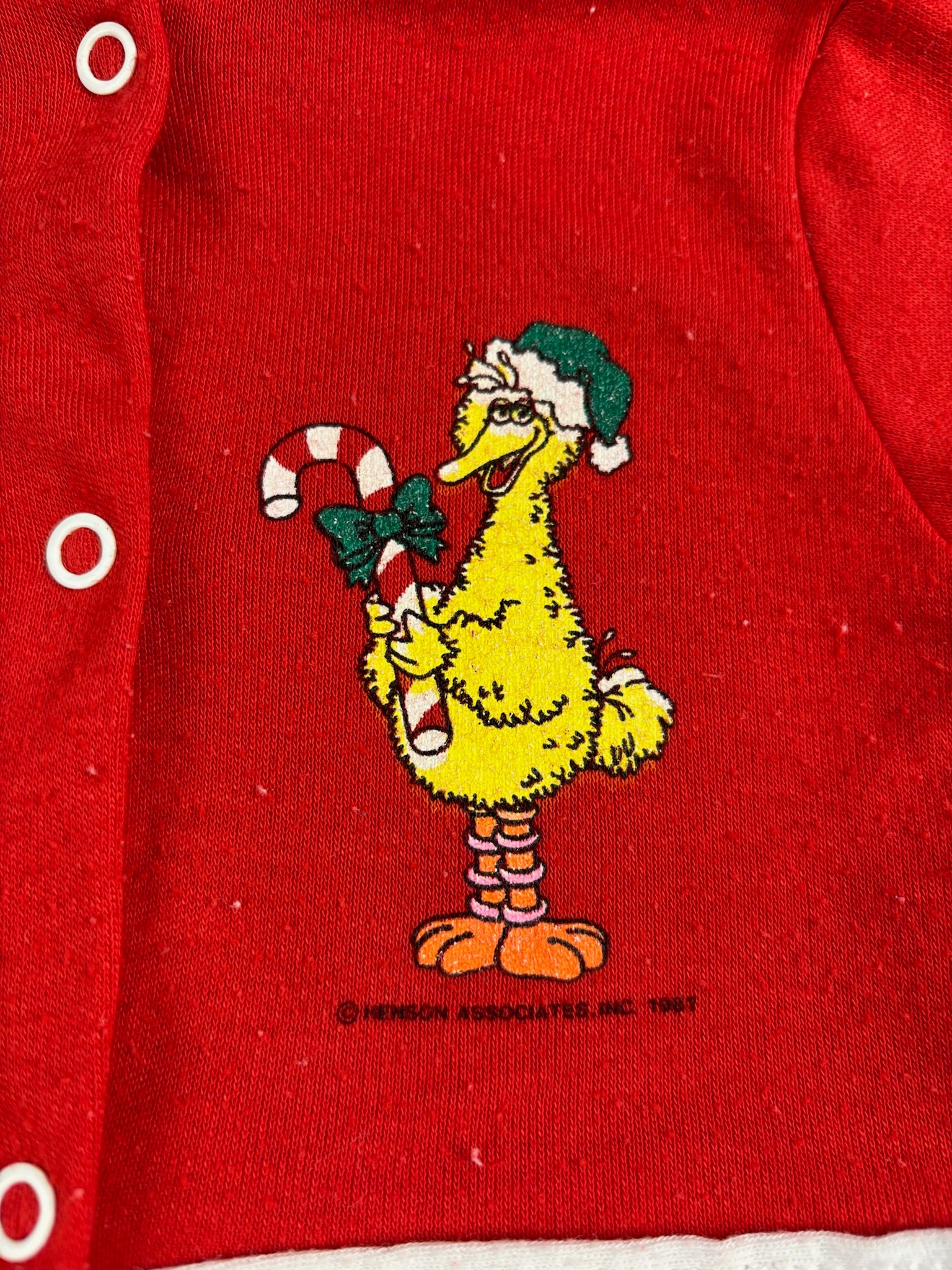 Vintage Holiday Big Bird PJ Footie 9-12 Months
