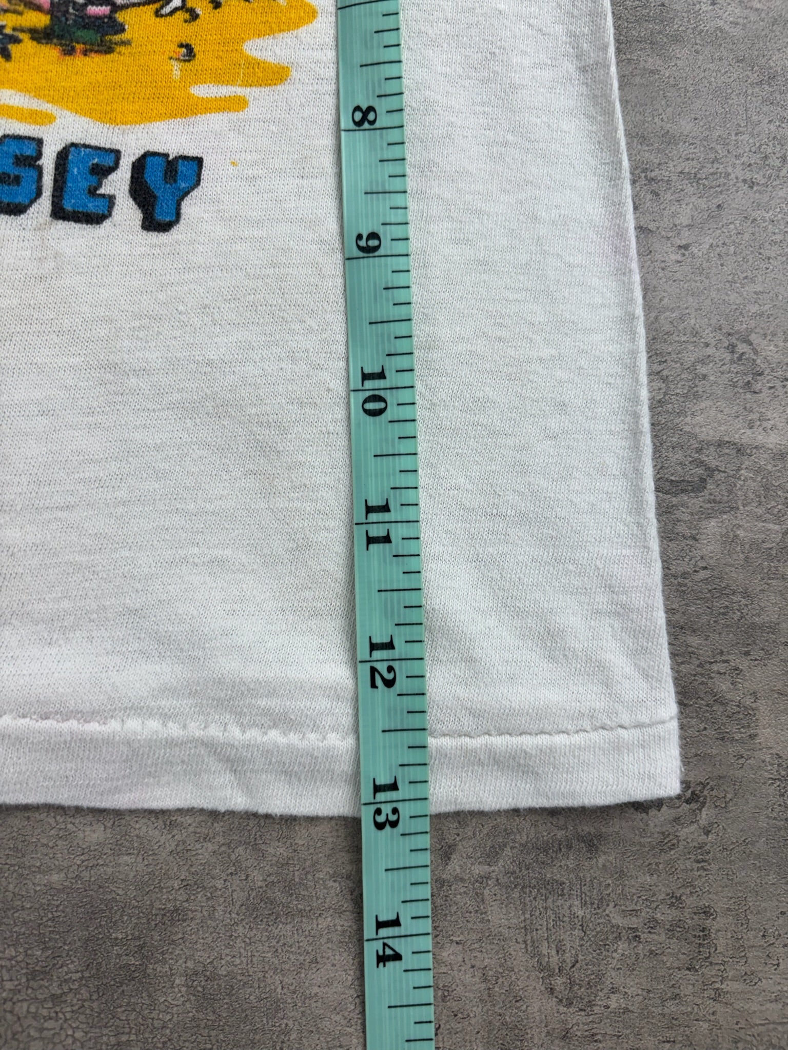 Vintage Atlantic City 24 Months