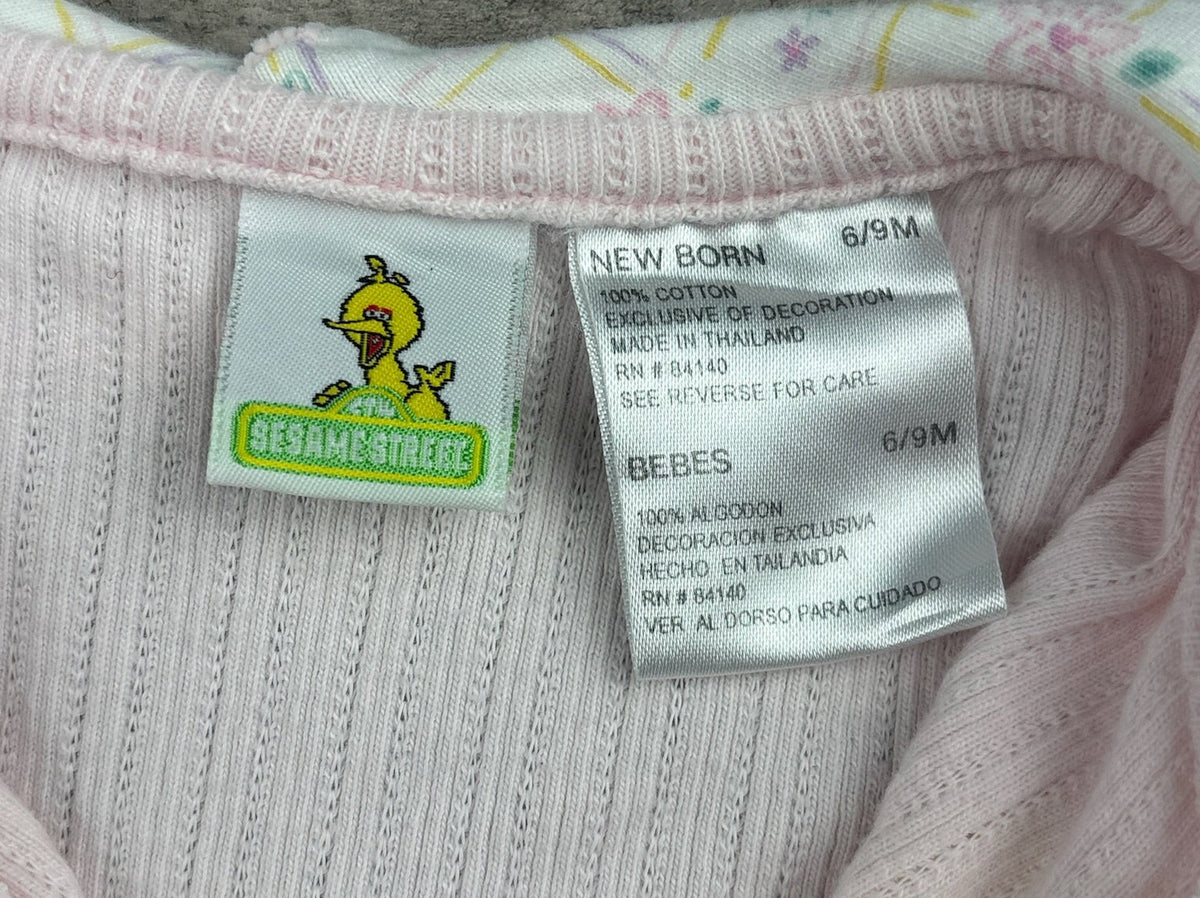 Vintage Big Bird Top 12 Months