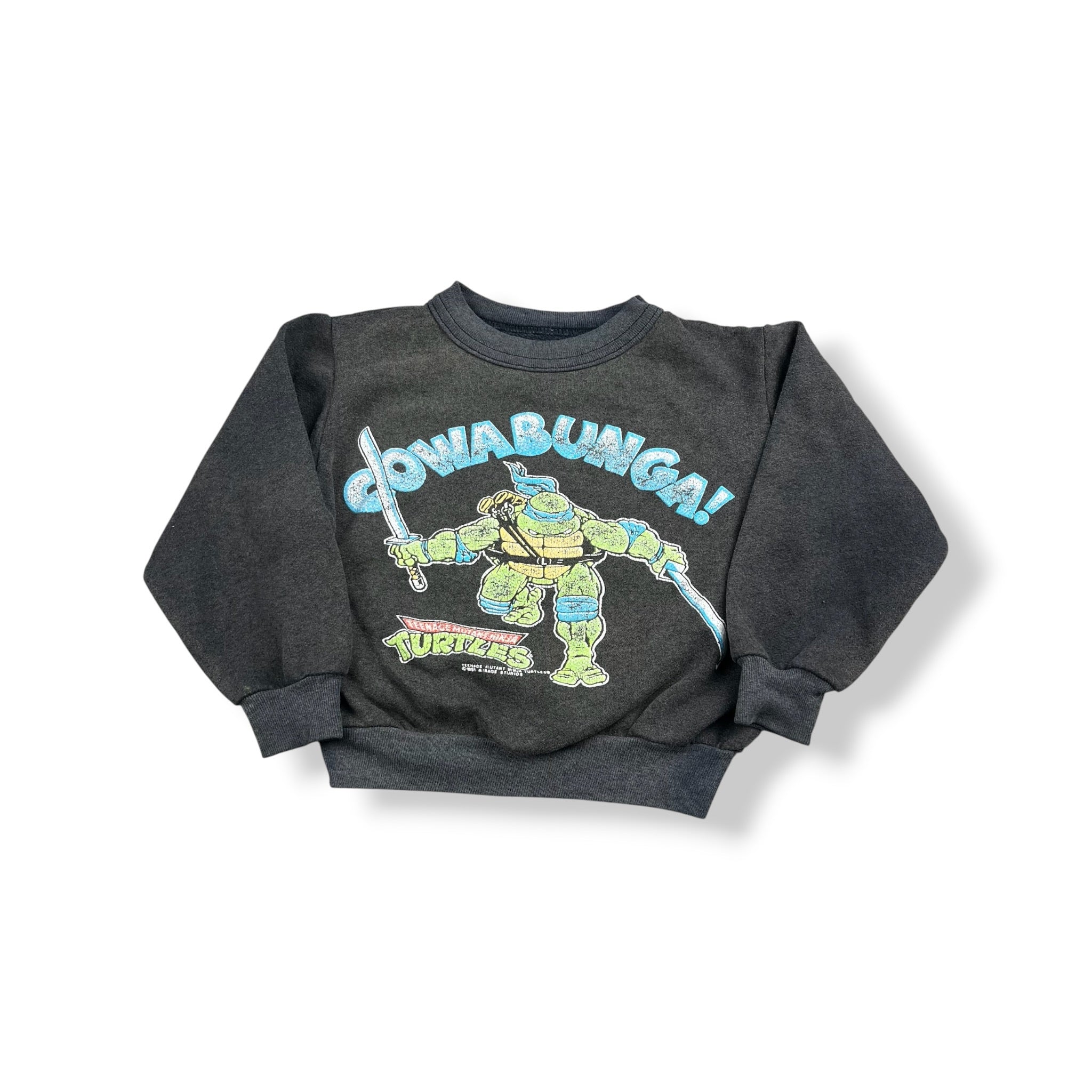 Vintage TMNT Leonardo Crewneck 2T