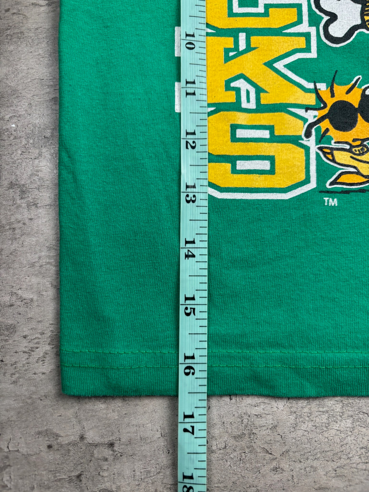 Snoopy Oregon Ducks 3T