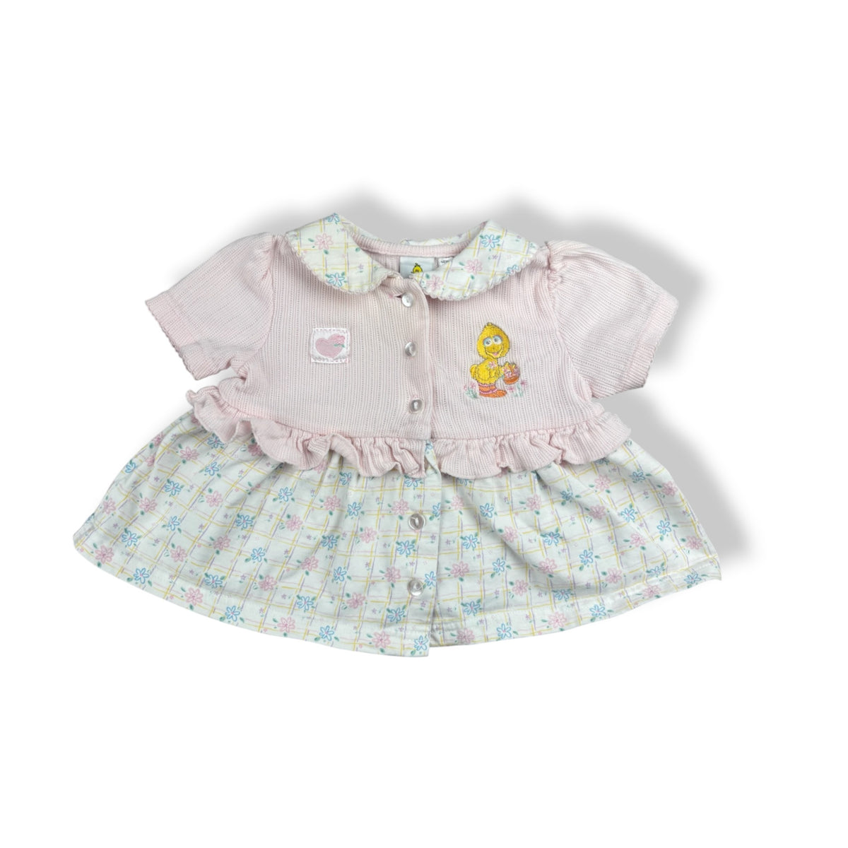 Vintage Big Bird Top 12 Months
