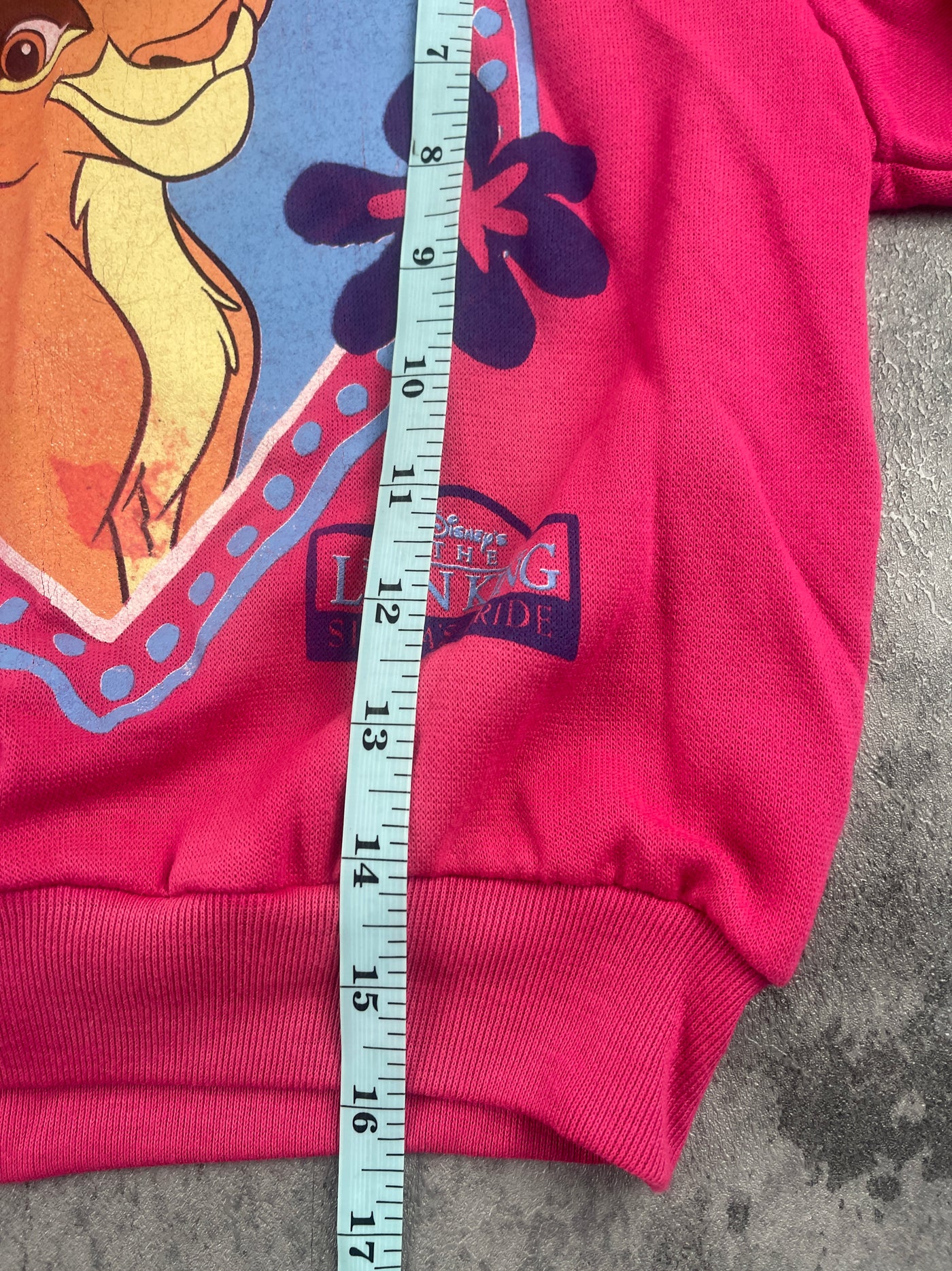 Vintage Kiara Lion King Hoodie 3/4T