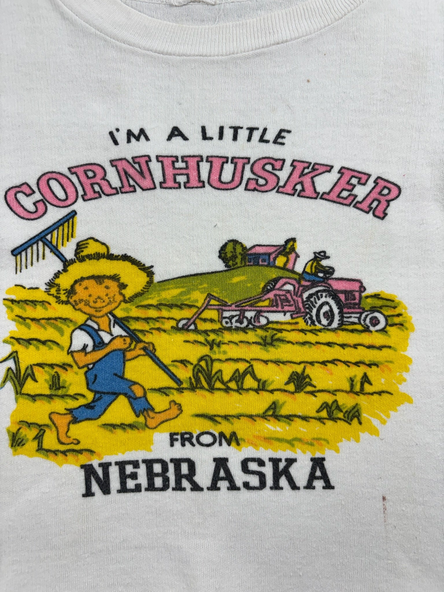 Vintage Nebraska Souvenir Shirt 3T