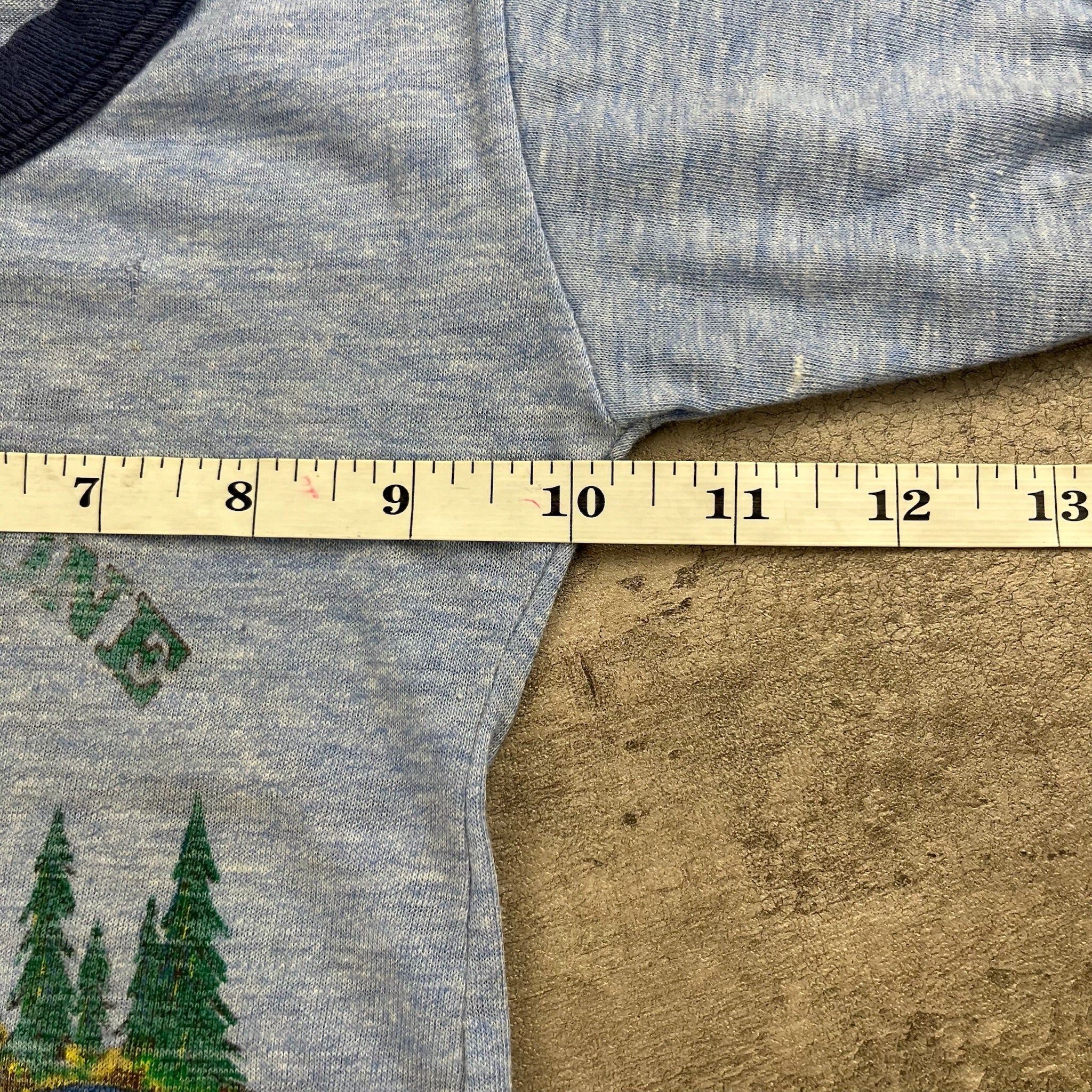 Vintage Yellowstone National Park Ringer 2T