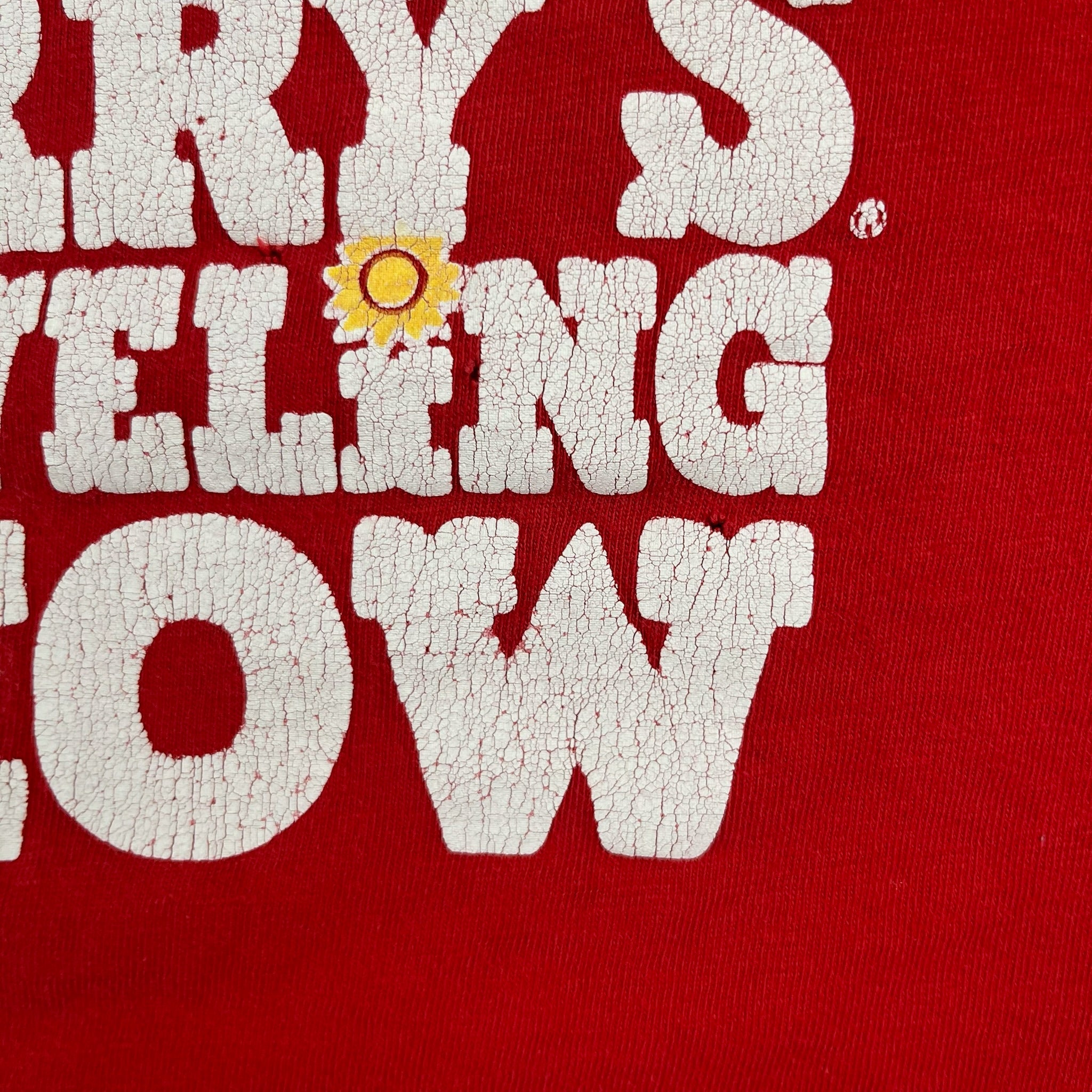 Vintage '92 Ben & Jerrys Youth Medium