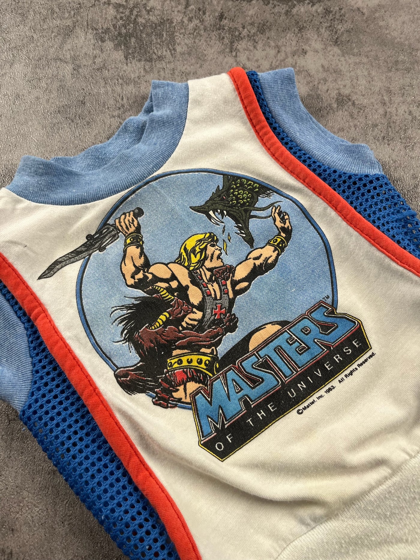 Vintage 1983 Masters Of The Universe 24 Months