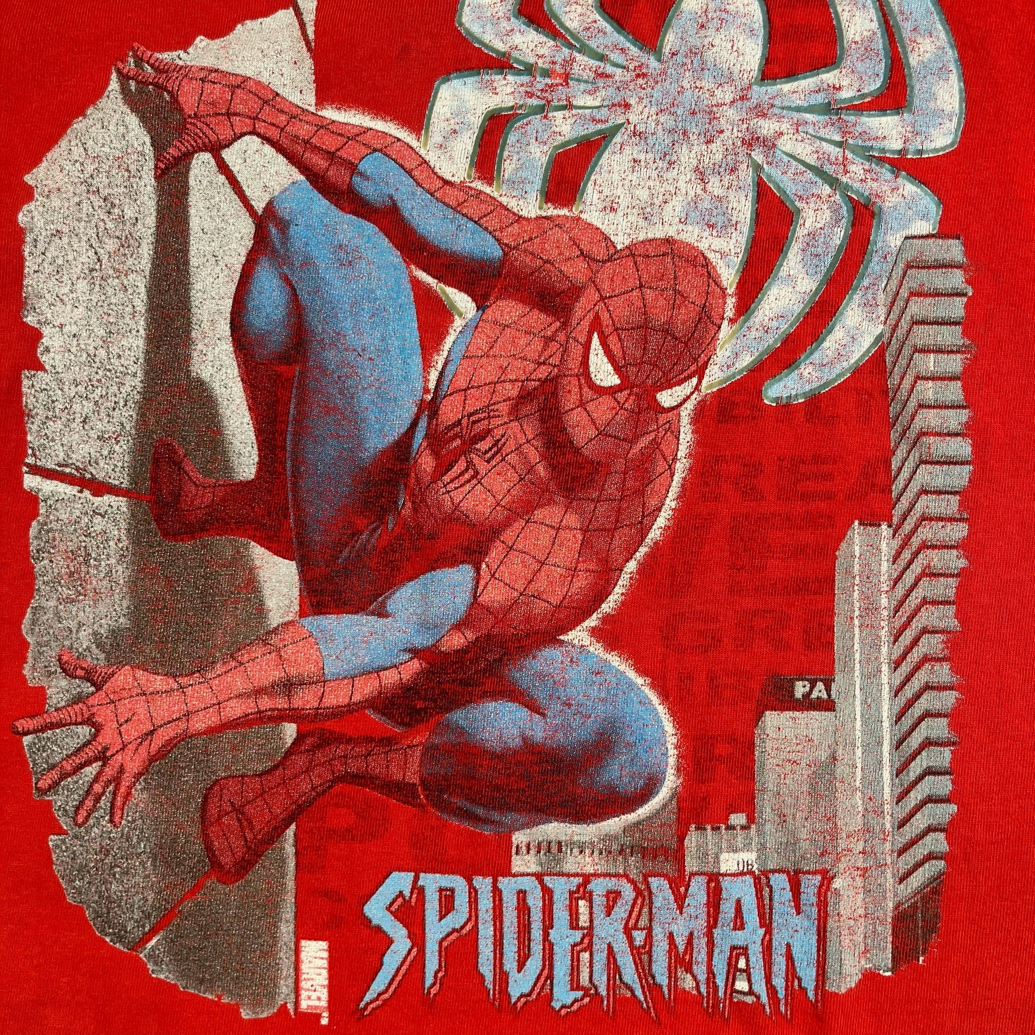 Vintage Spider-Man 6T