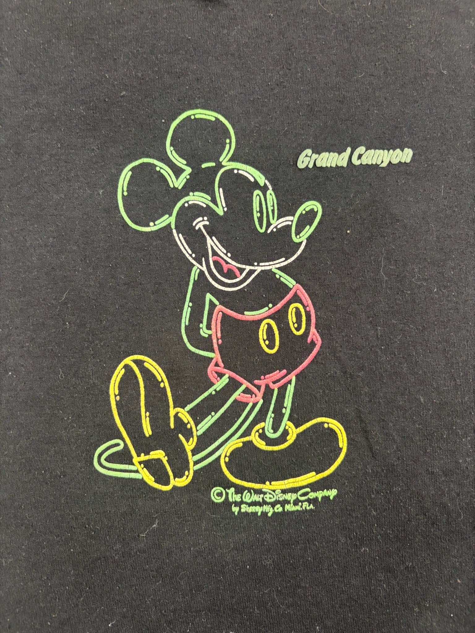 Vintage Mickey Mouse Grand Canyon 4/5T