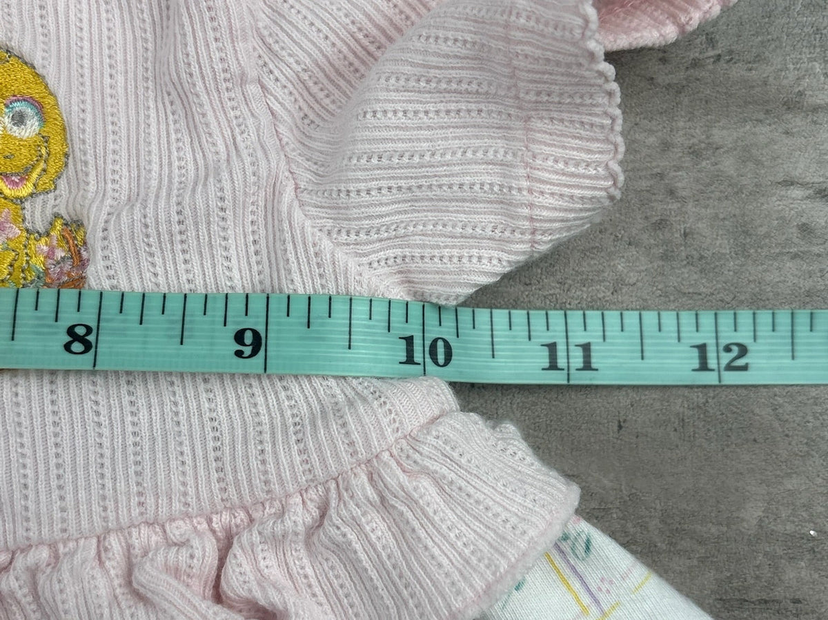 Vintage Big Bird Top 12 Months