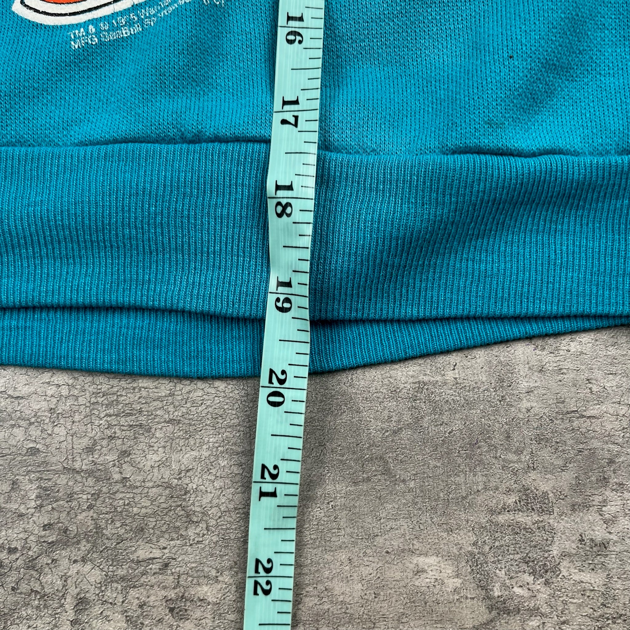 Vintage '95 Taz Crewneck 5/6T