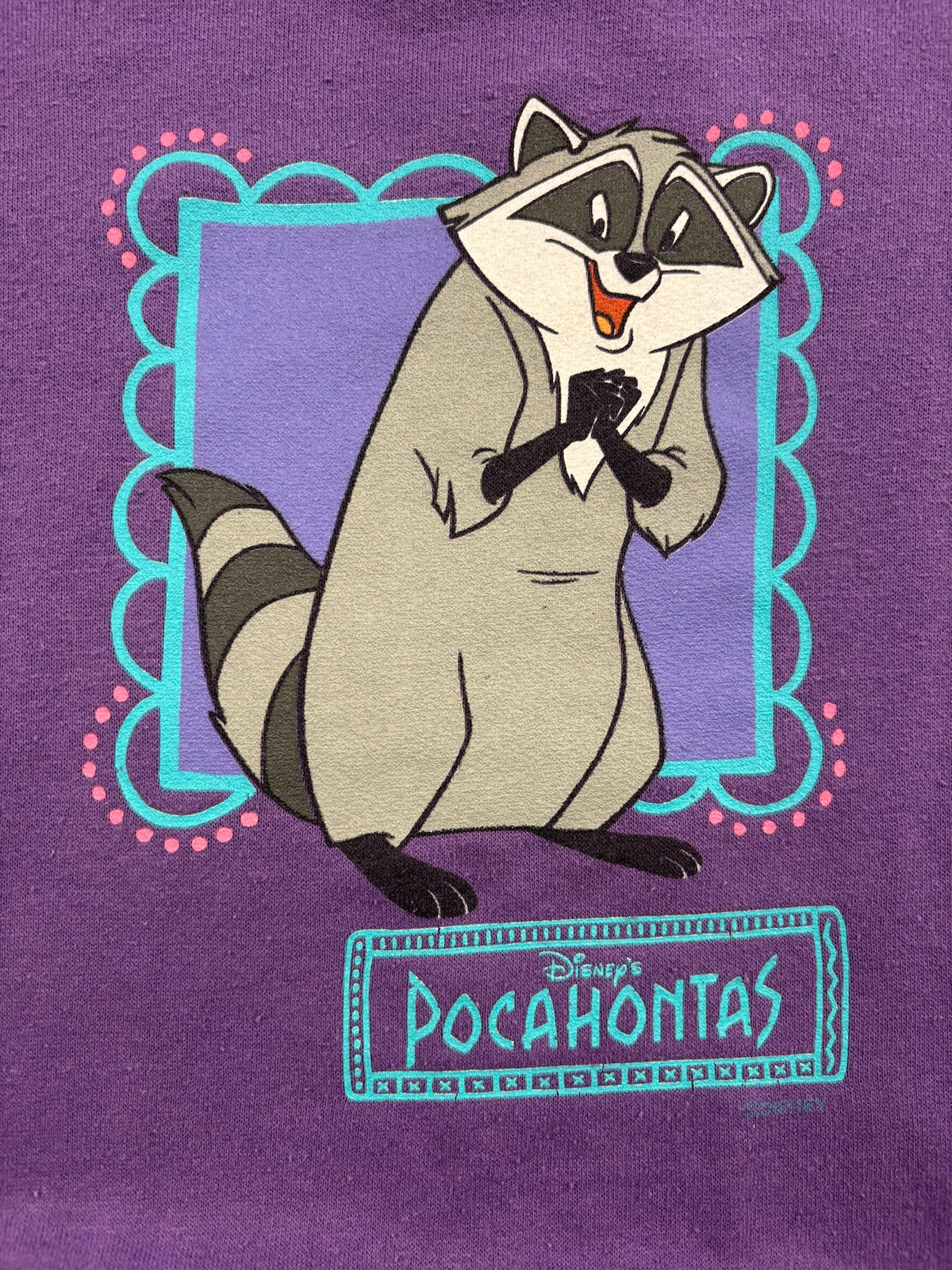 Vintage Meeko Pocahontas Crew 5T