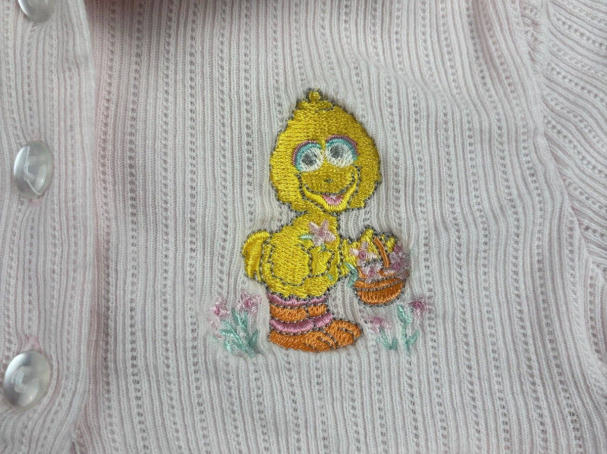 Vintage Big Bird Top 12 Months