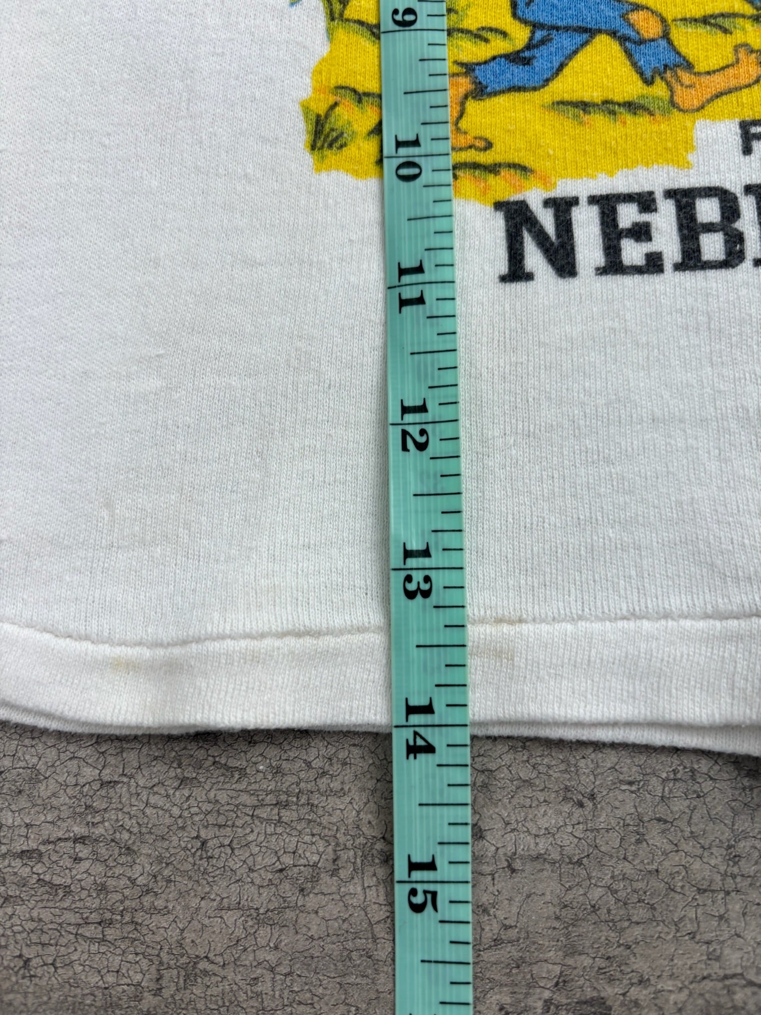 Vintage Nebraska Souvenir Shirt 3T