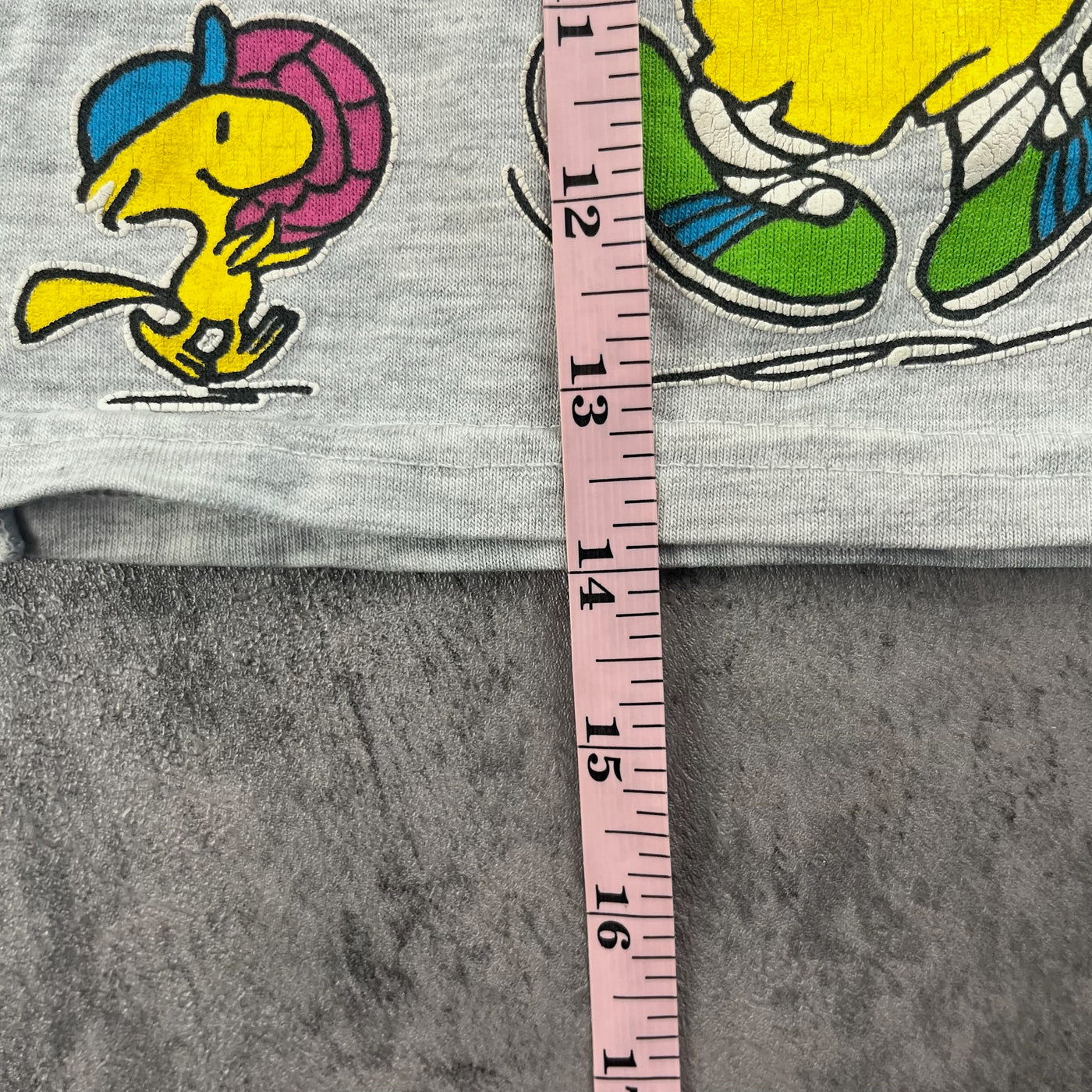 Vintage Charlie Brown & Snoopy 2T