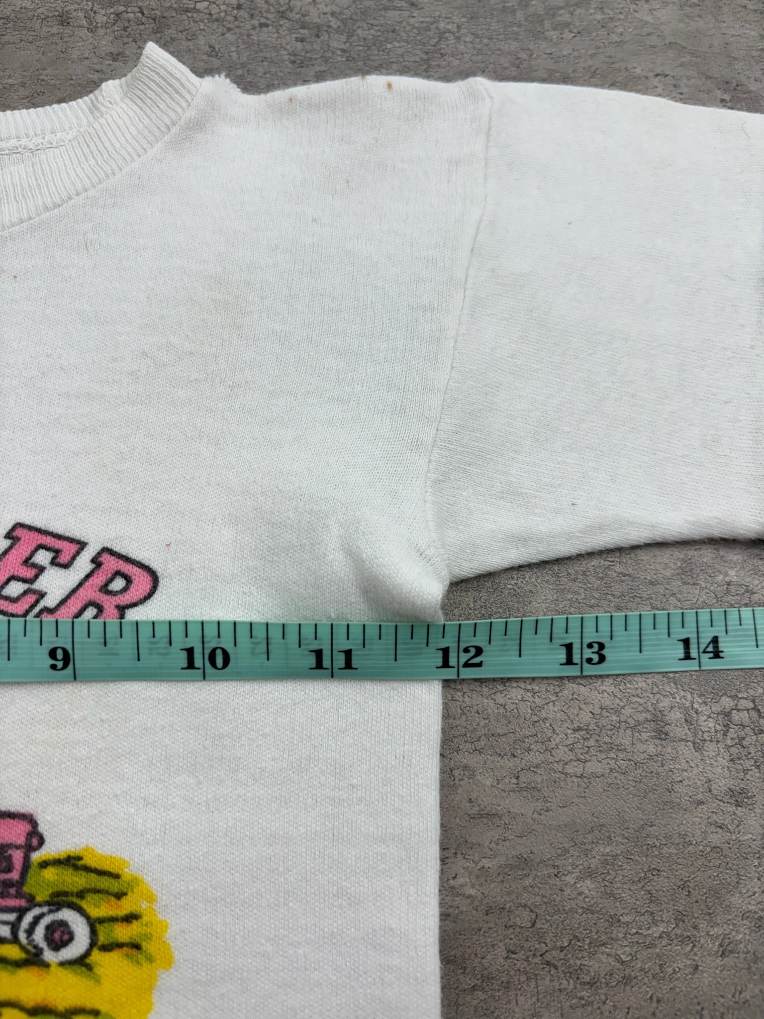 Vintage Nebraska Souvenir Shirt 3T