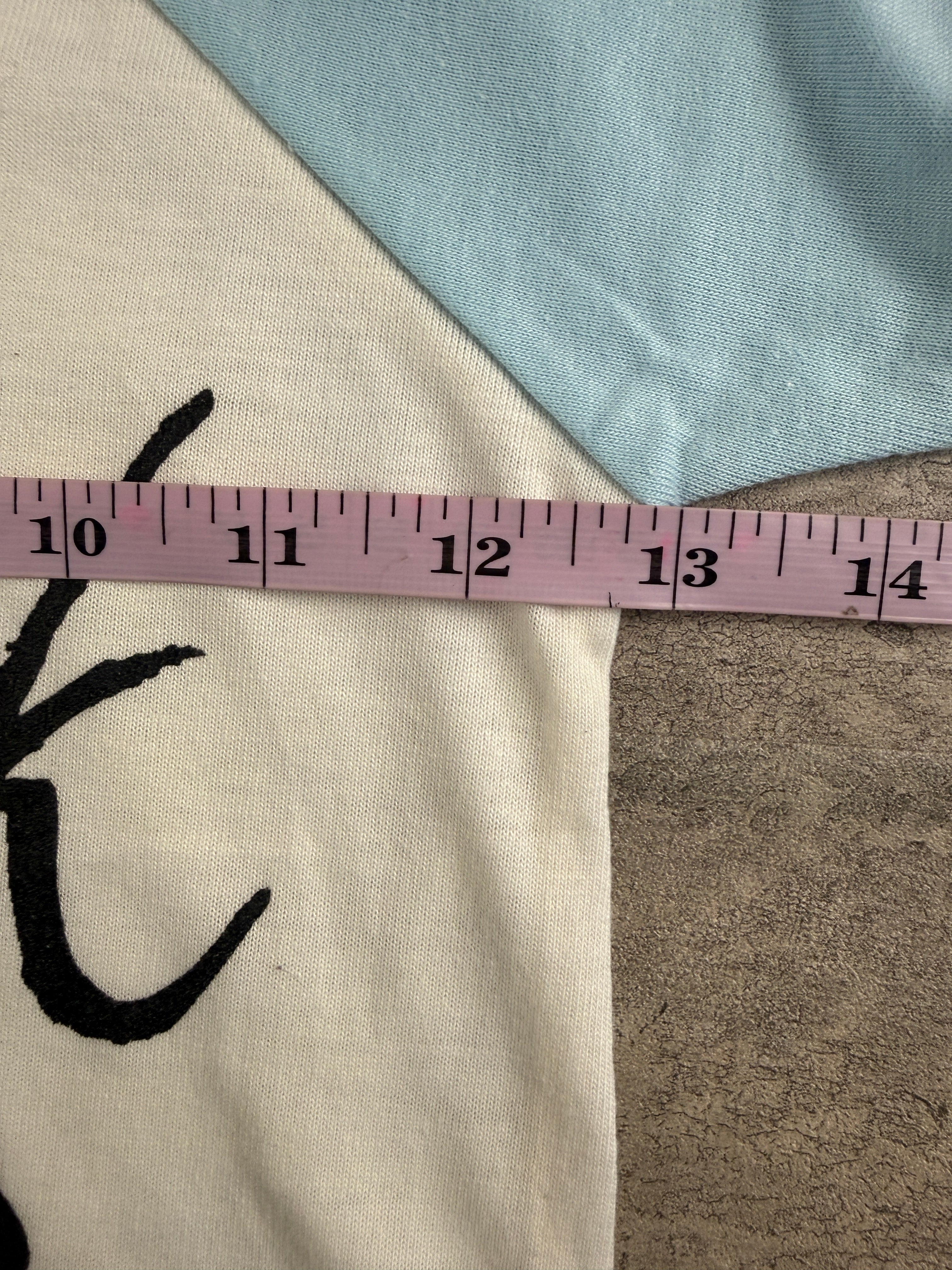 Vintage New York Raglan 2T