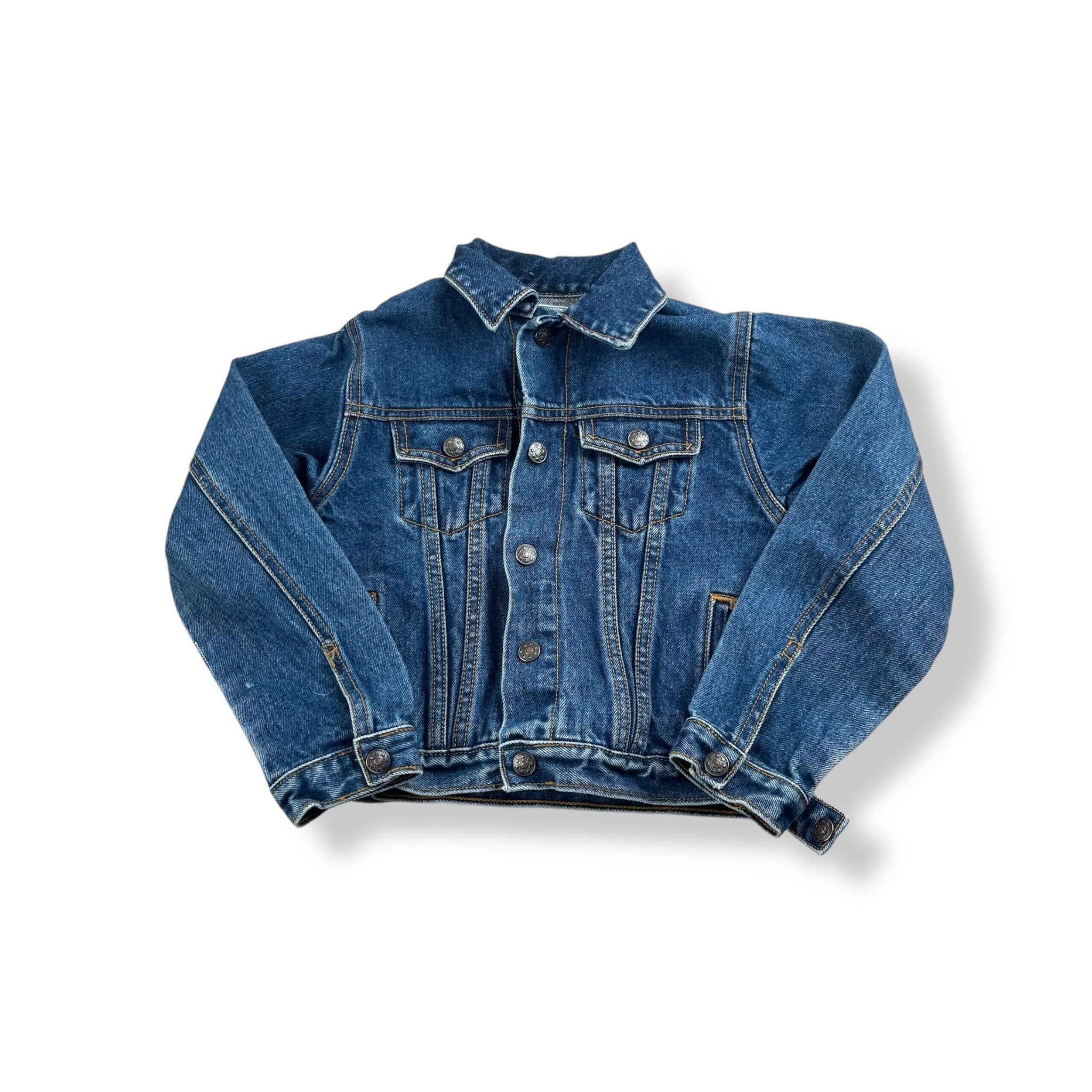 Vintage Lizard Denim Jacket 2T